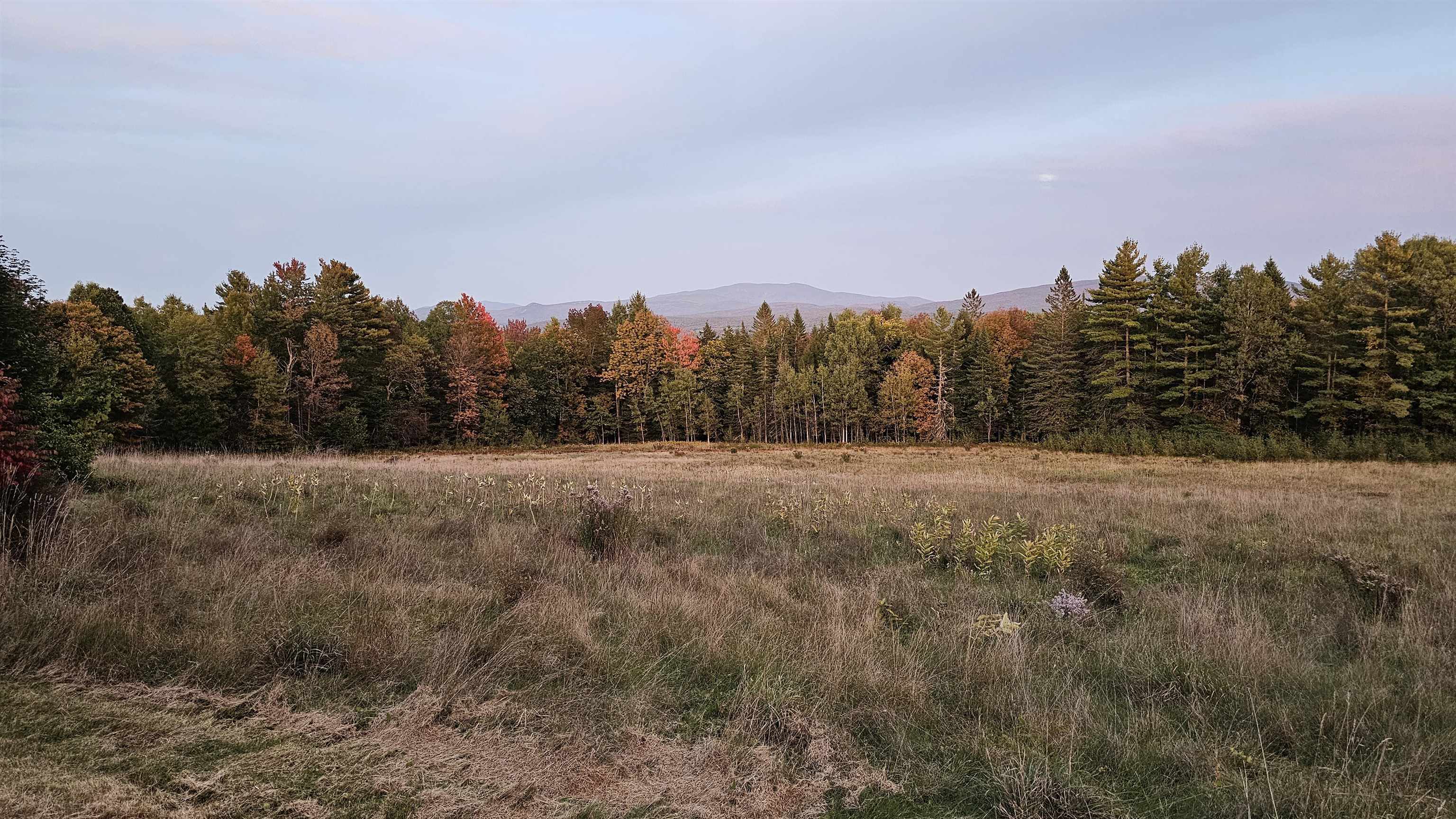 288 Old Stage Coach Road Property Photo 9