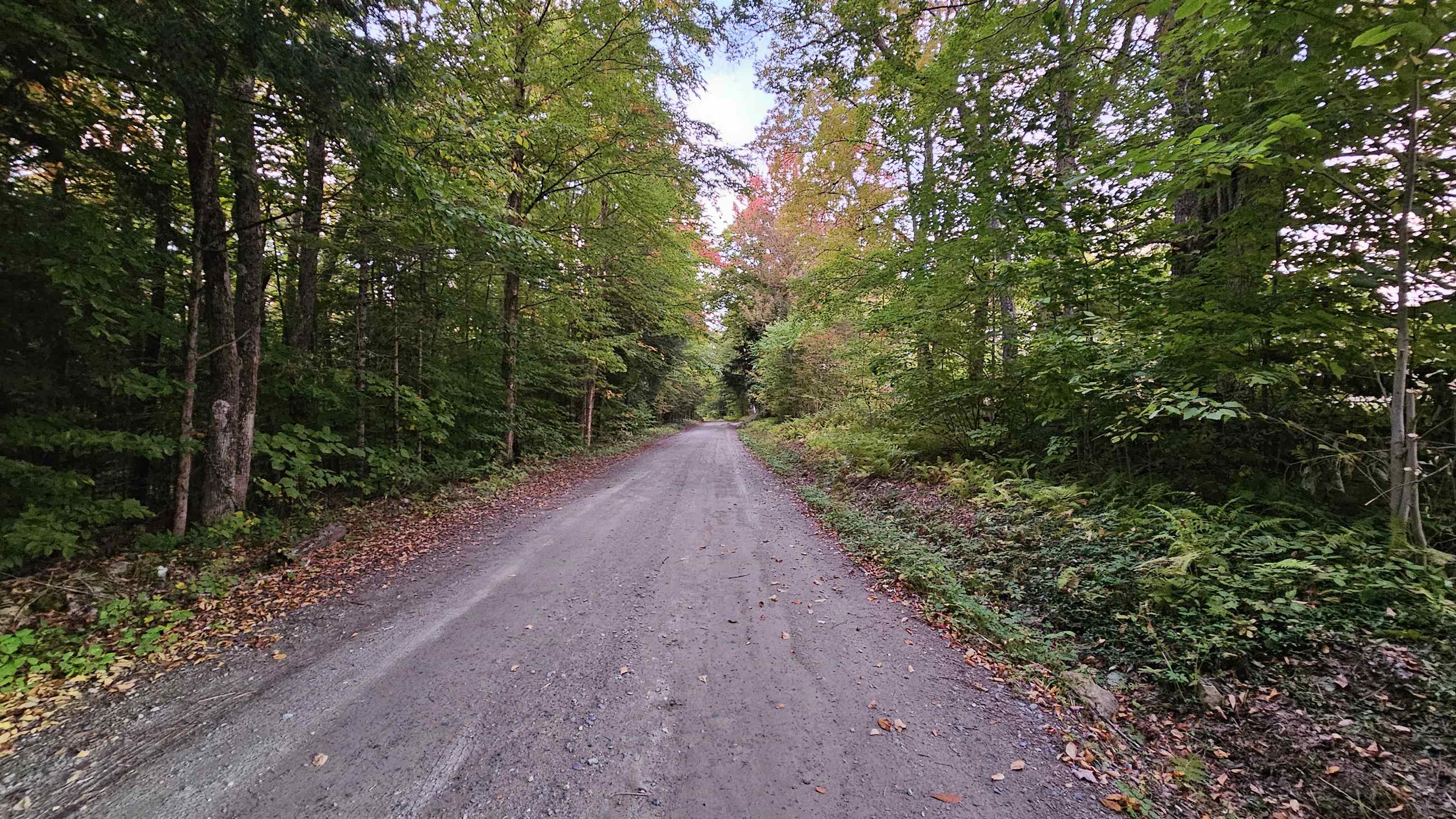 288 Old Stage Coach Road Property Photo 17