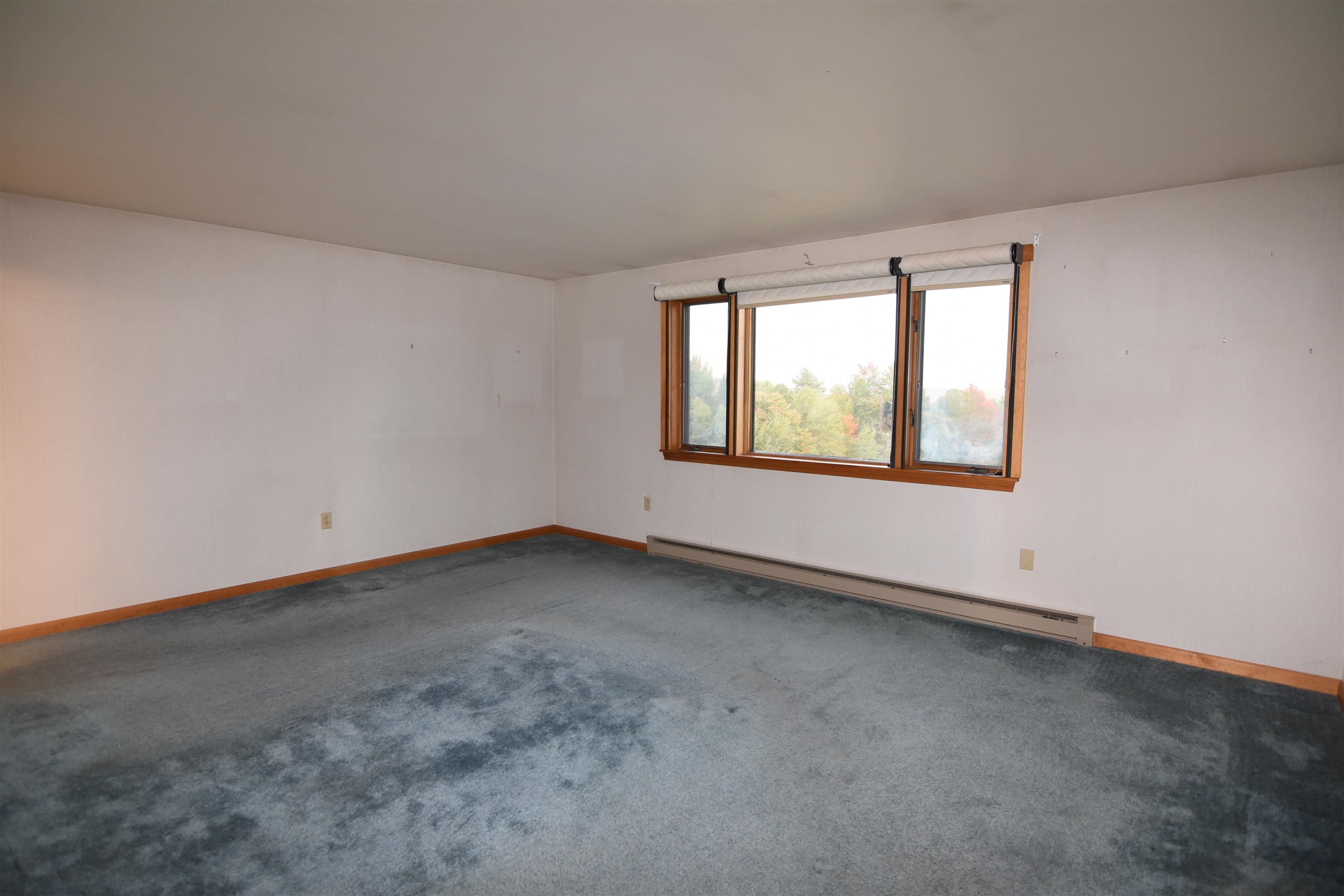 288 Old Stage Coach Road Property Photo 31