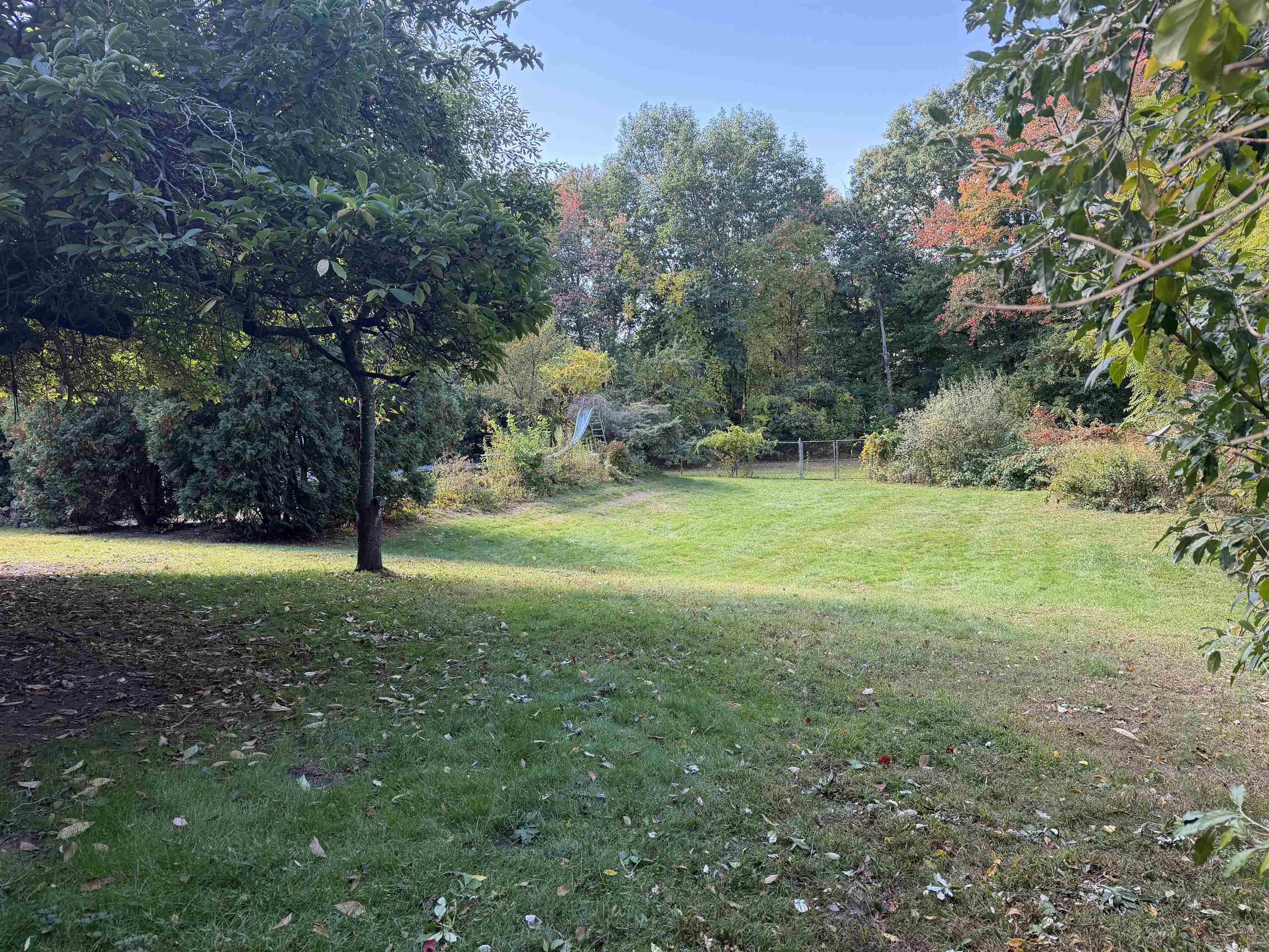988 Mammoth Road Property Photo 4