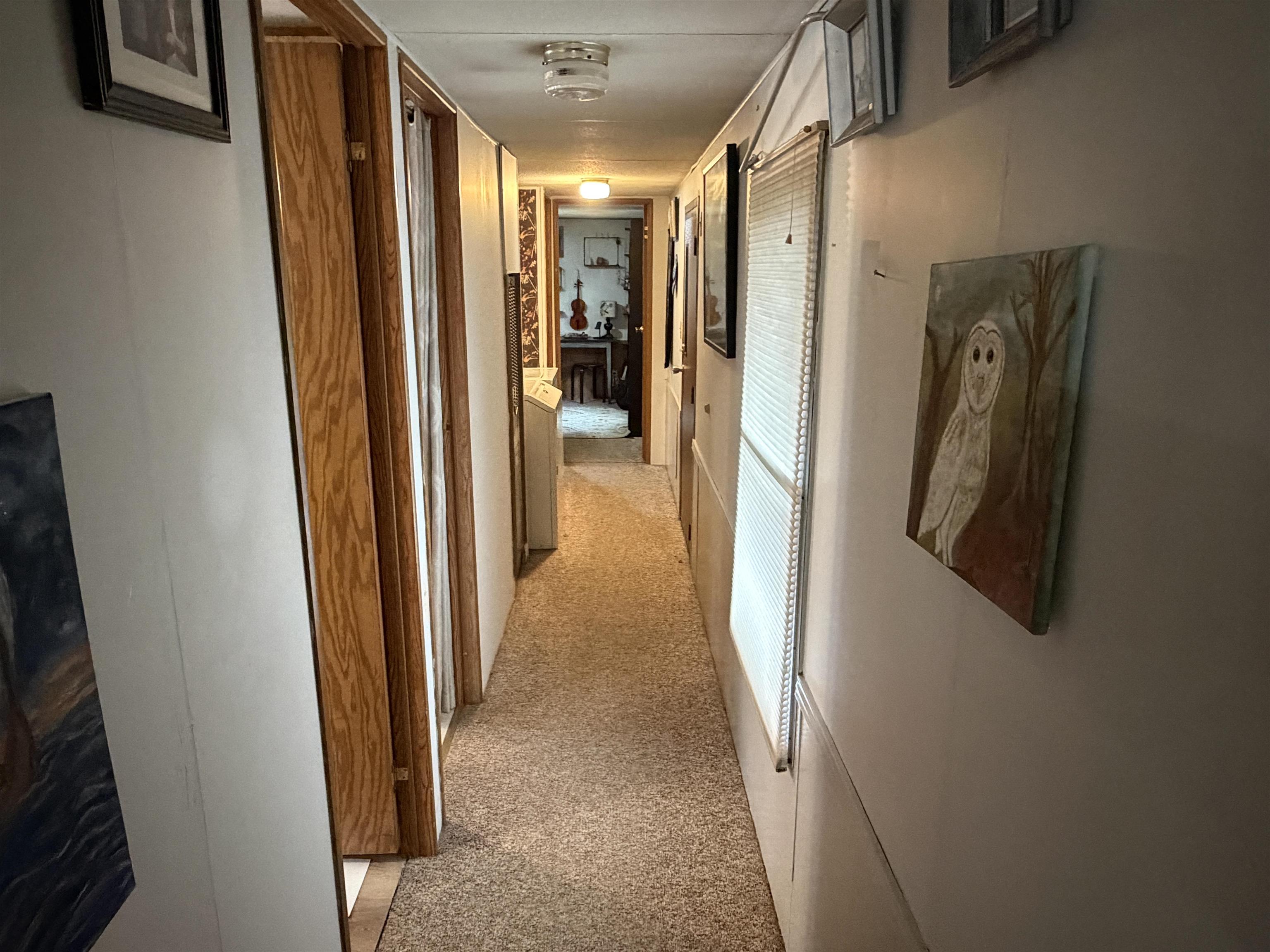 46 Monarch Court Property Photo 15