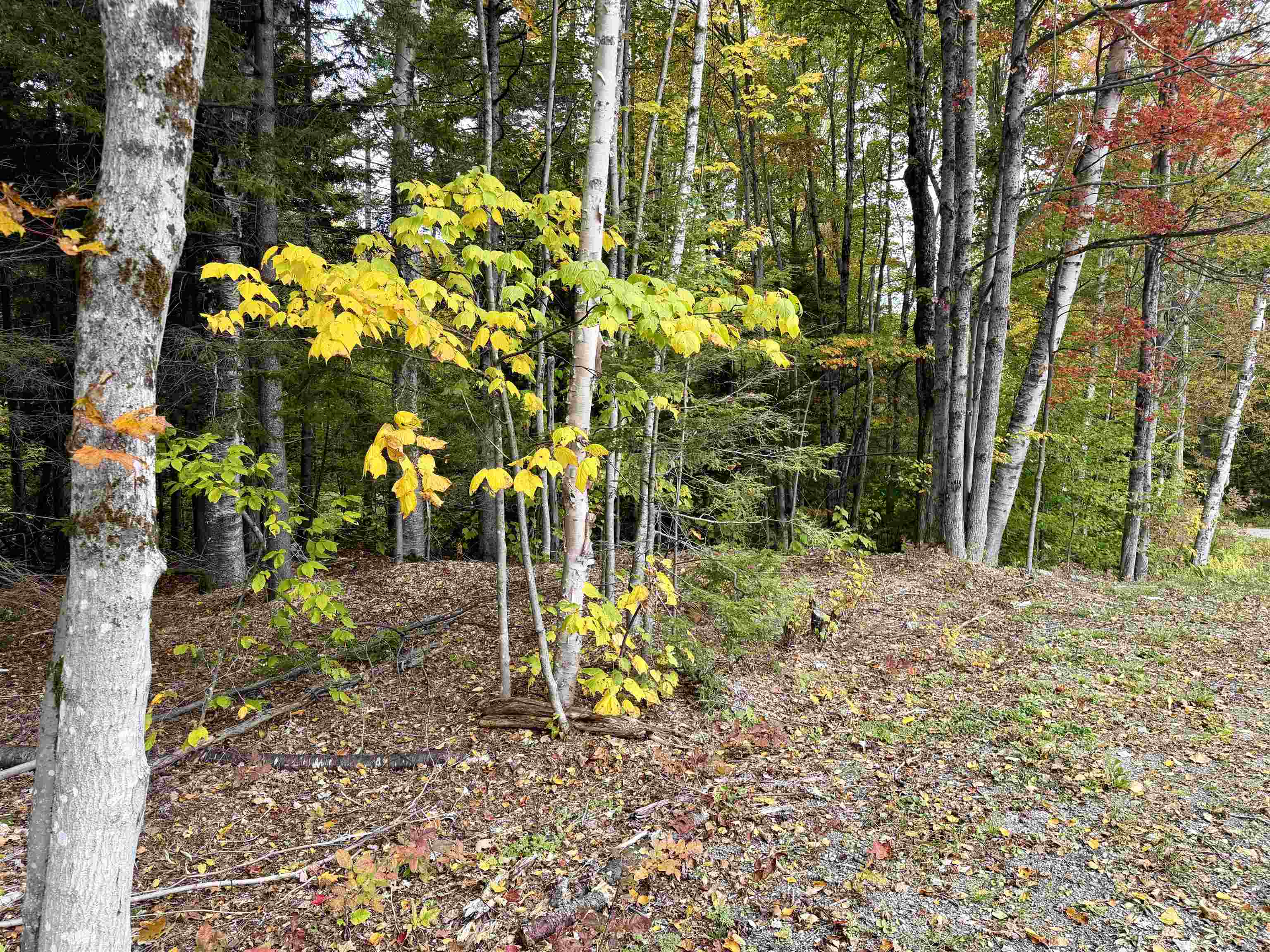 123 High Top Road Property Photo 2