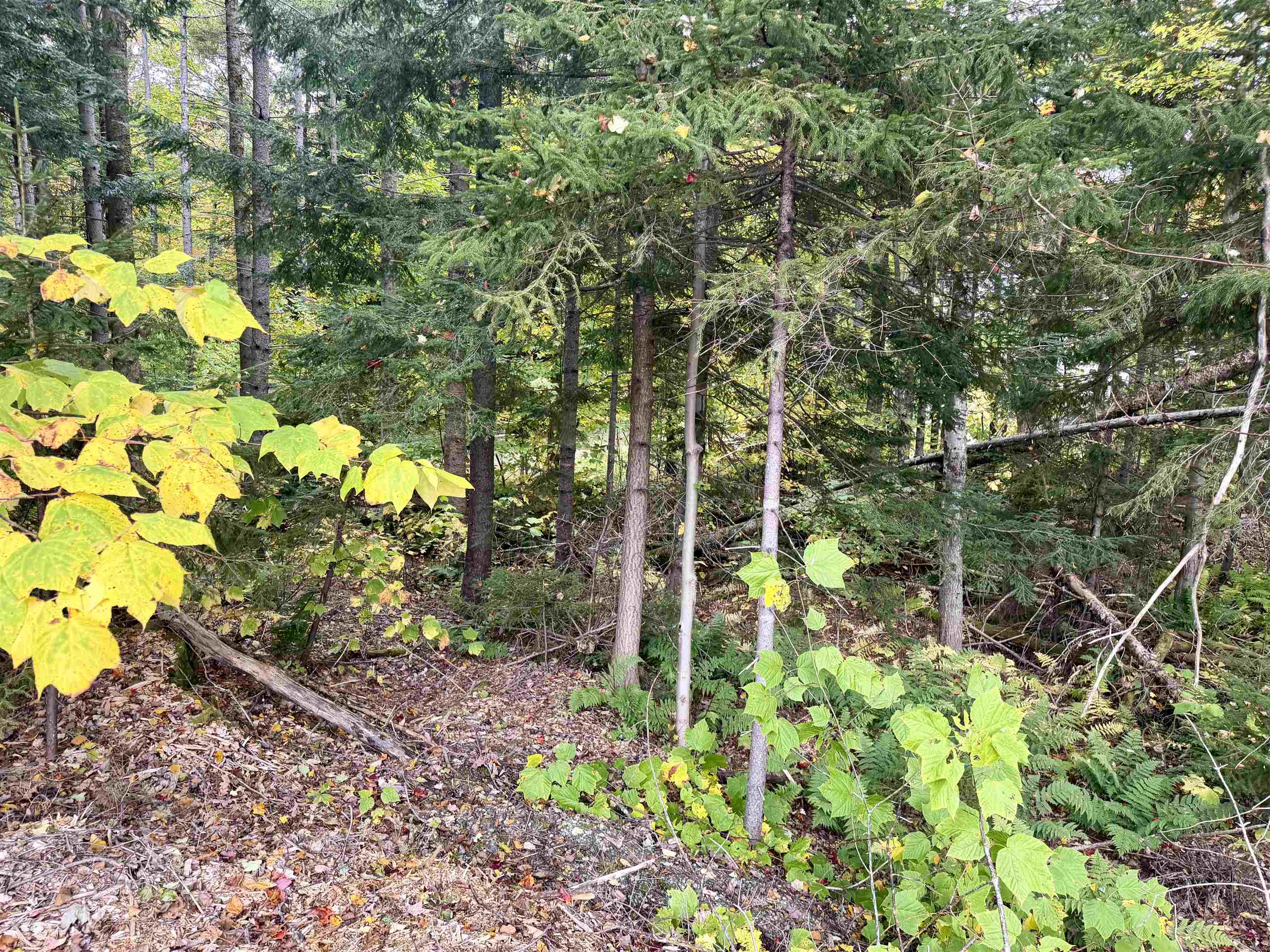 123 High Top Road Property Photo 3