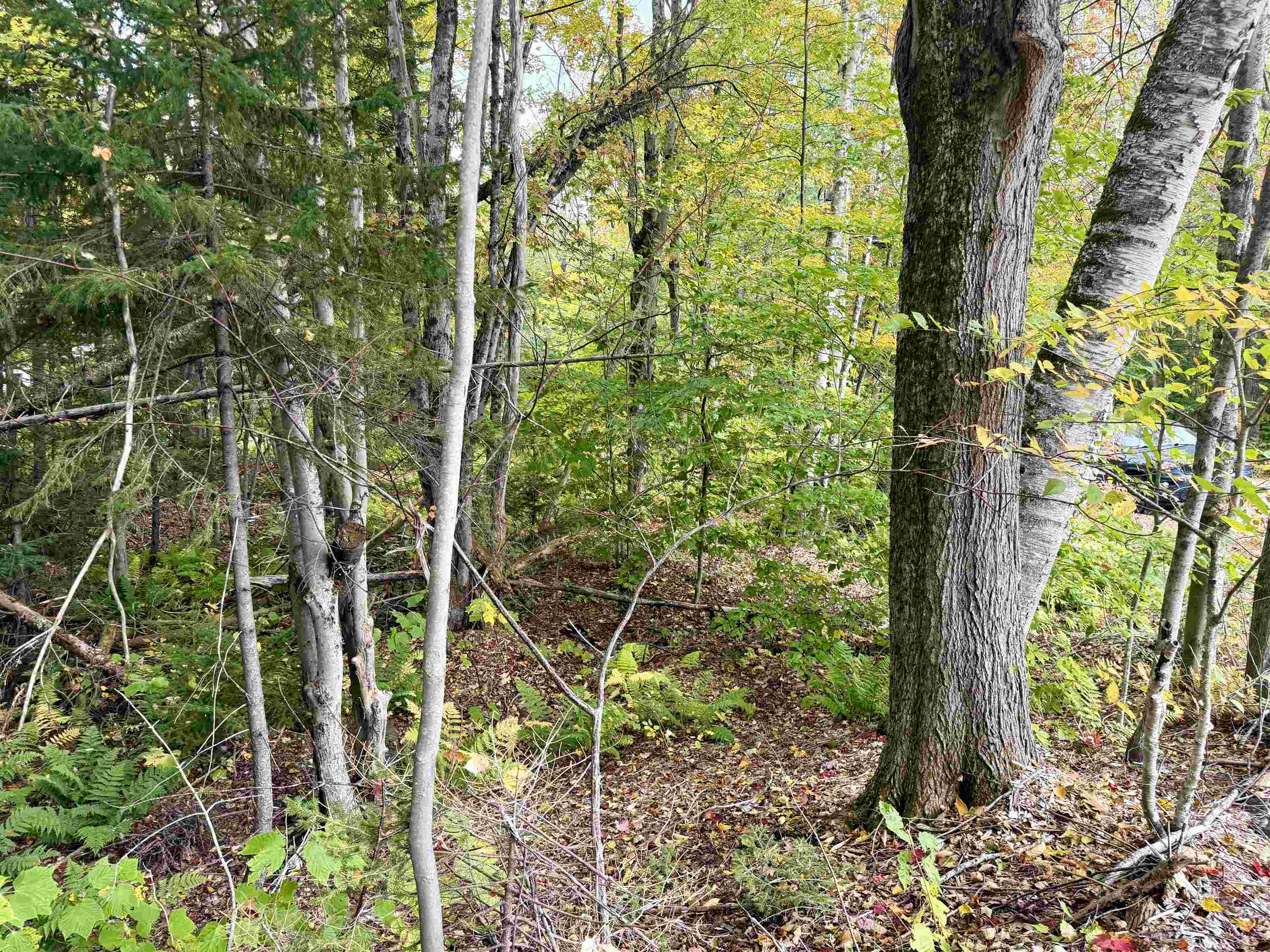 123 High Top Road Property Photo 4
