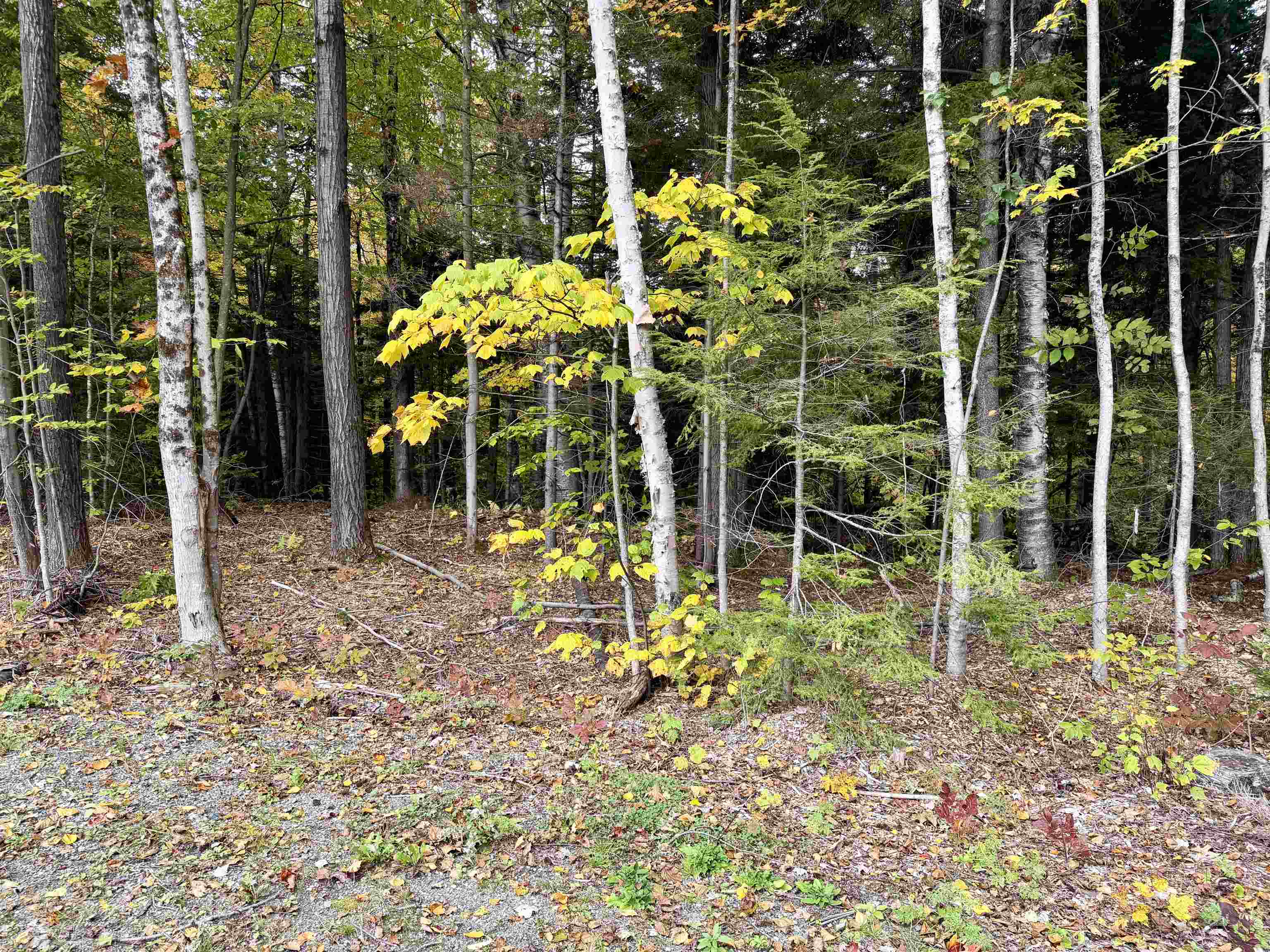 123 High Top Road Property Photo 10