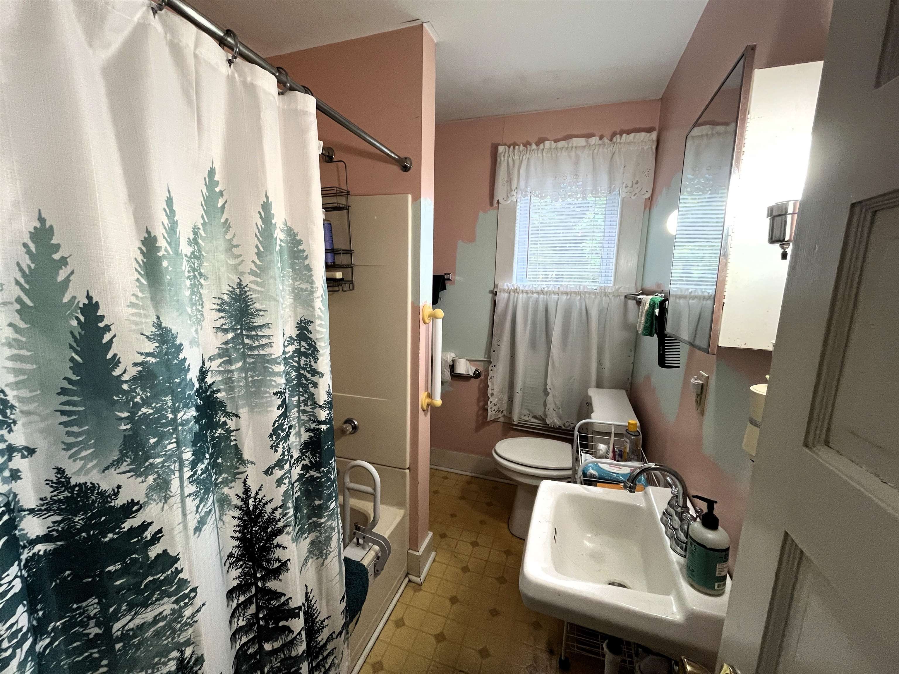 9 Bingham Street Property Photo 11