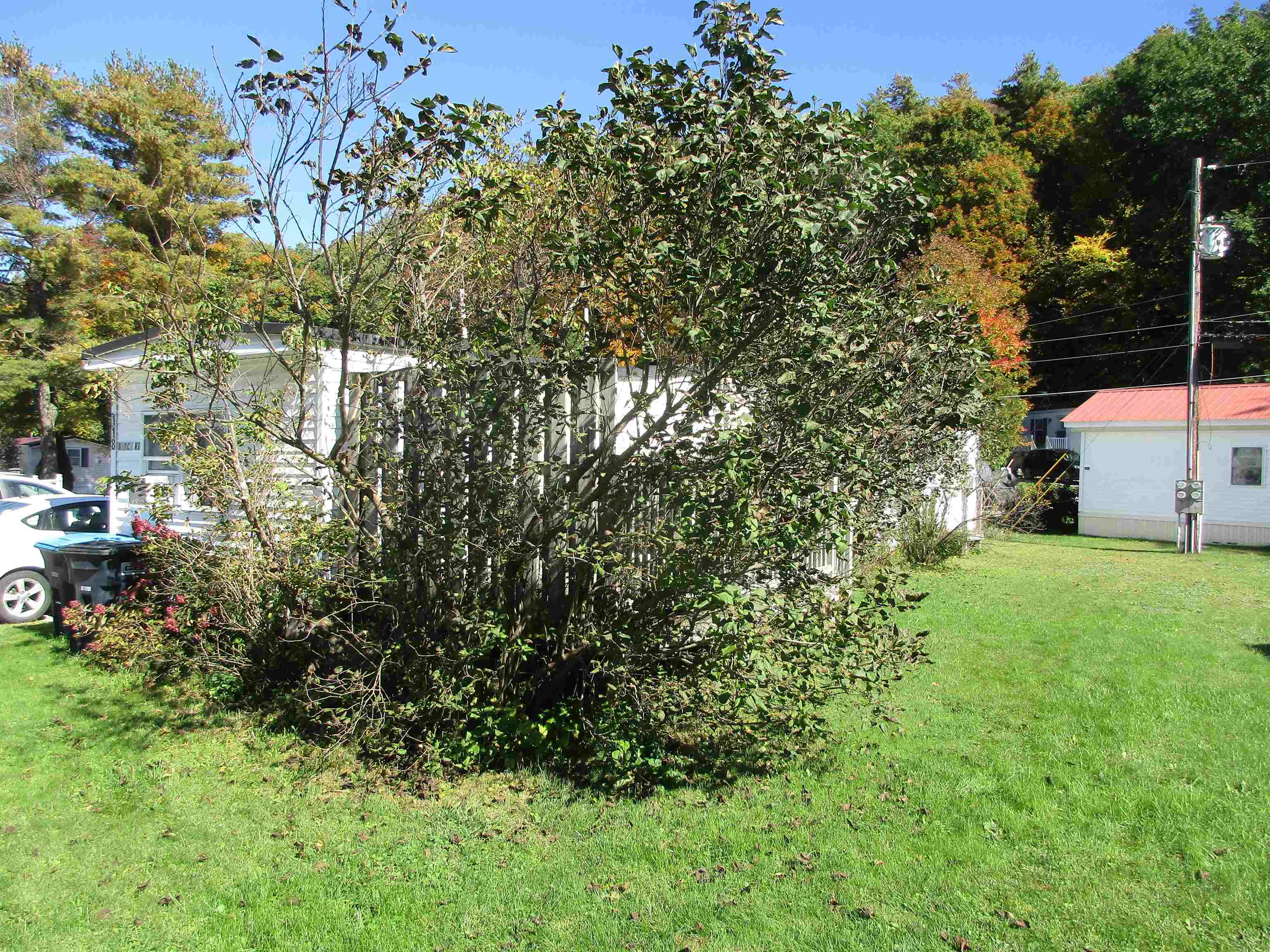 118 Birch Road Property Photo 6