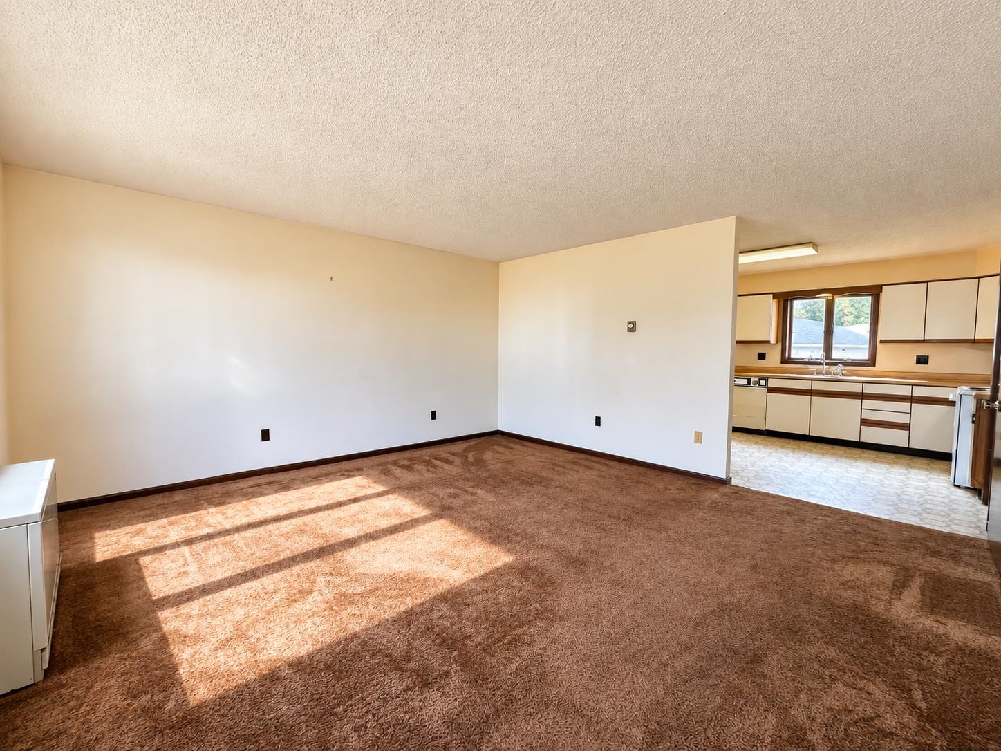155 Dorr Drive Property Photo 6