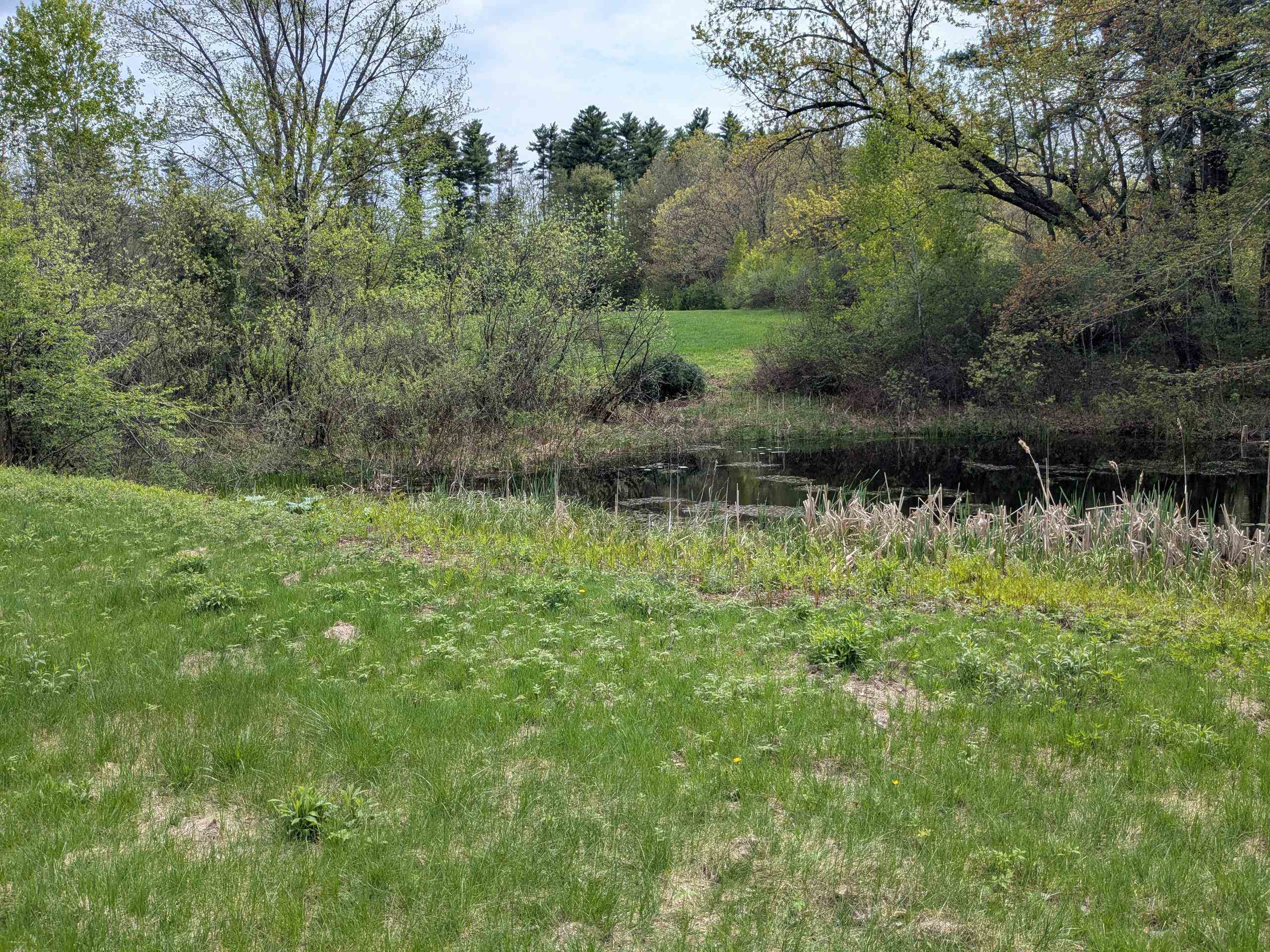 34 Boyce Road Property Photo 2