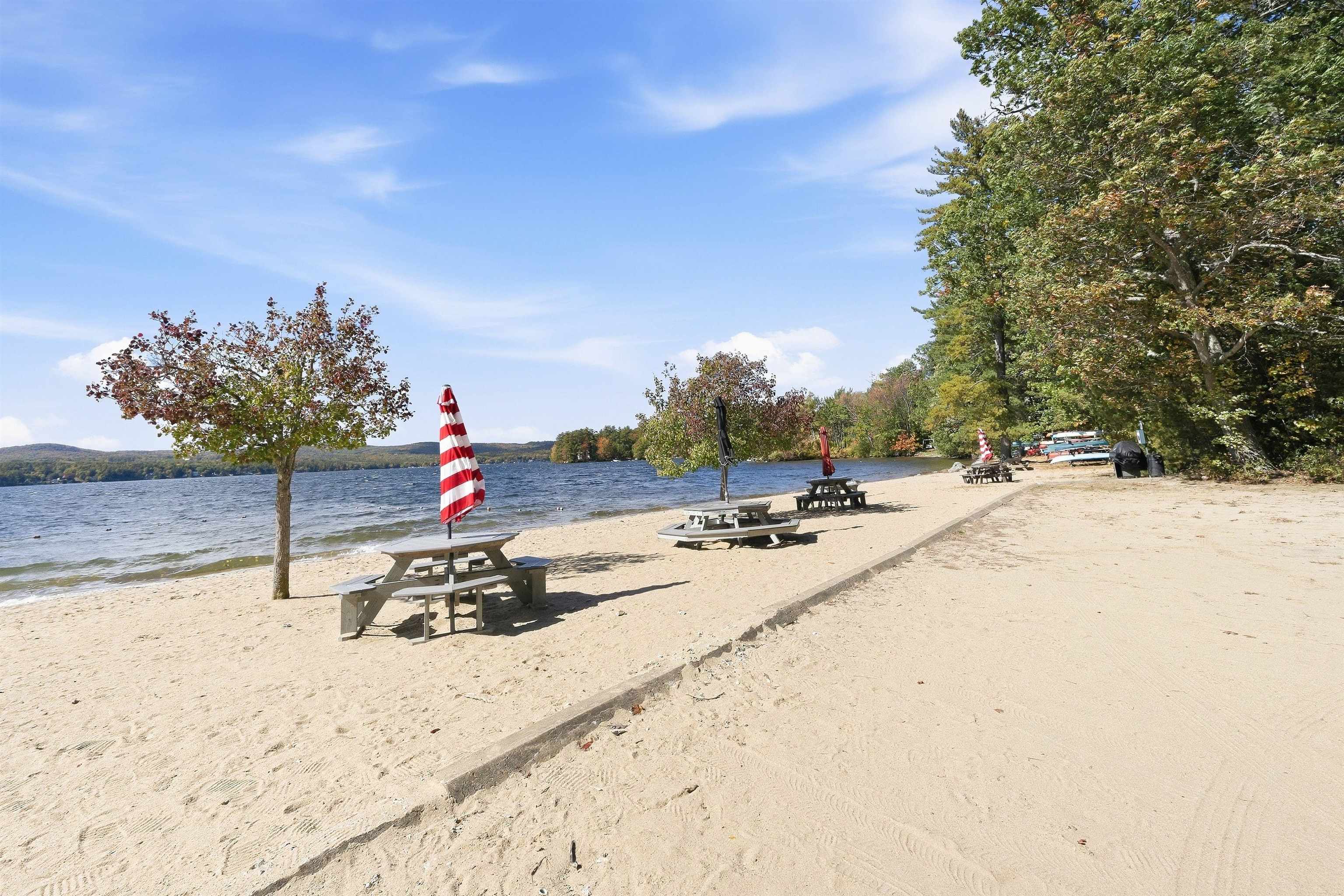 223 Shore Drive Property Photo 6