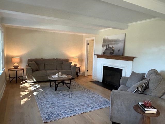 223 Shore Drive Property Photo 13