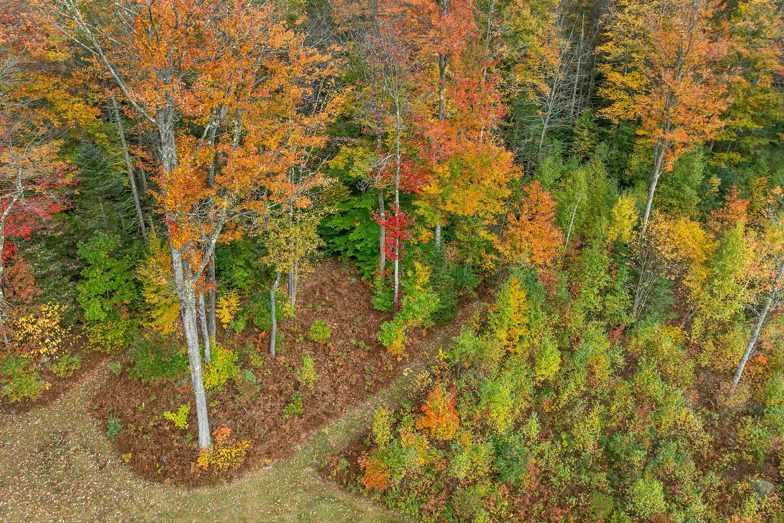 78 Arndt Road Property Photo 17