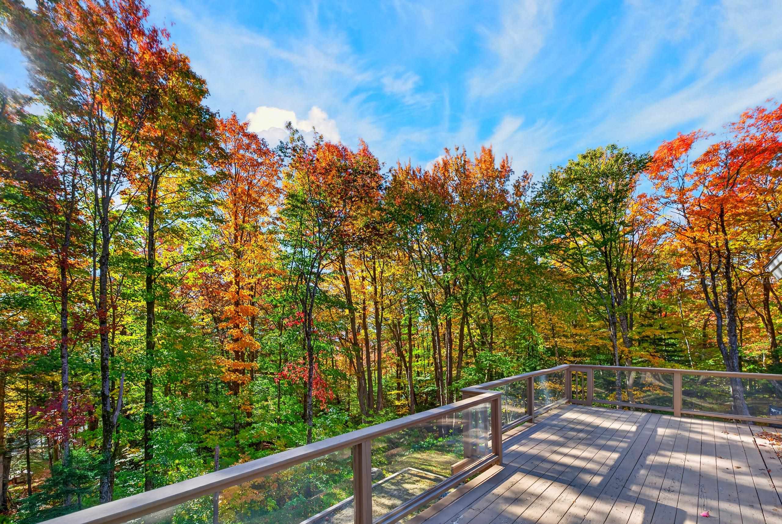 90 Big Bend Loop Property Photo 21