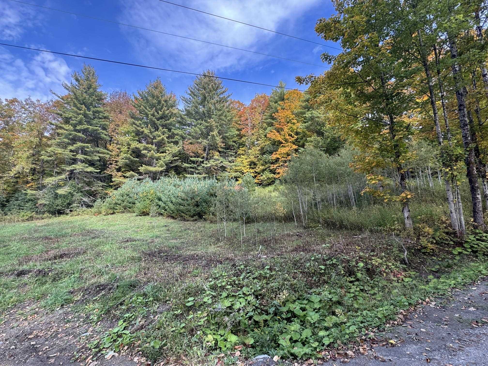 200 Rowell Hill Road Property Photo 6