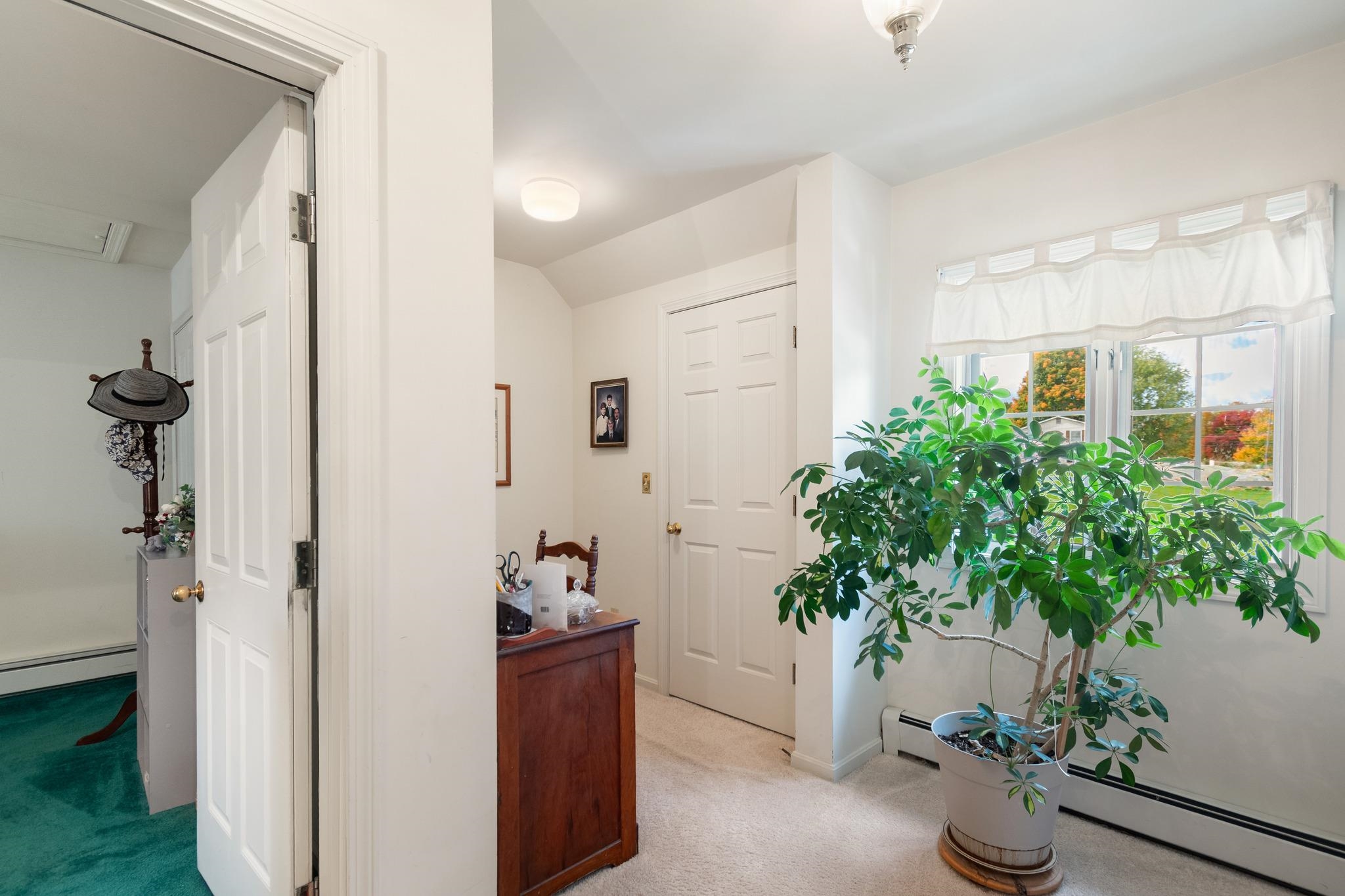 1 Peacham Lane Property Photo 19
