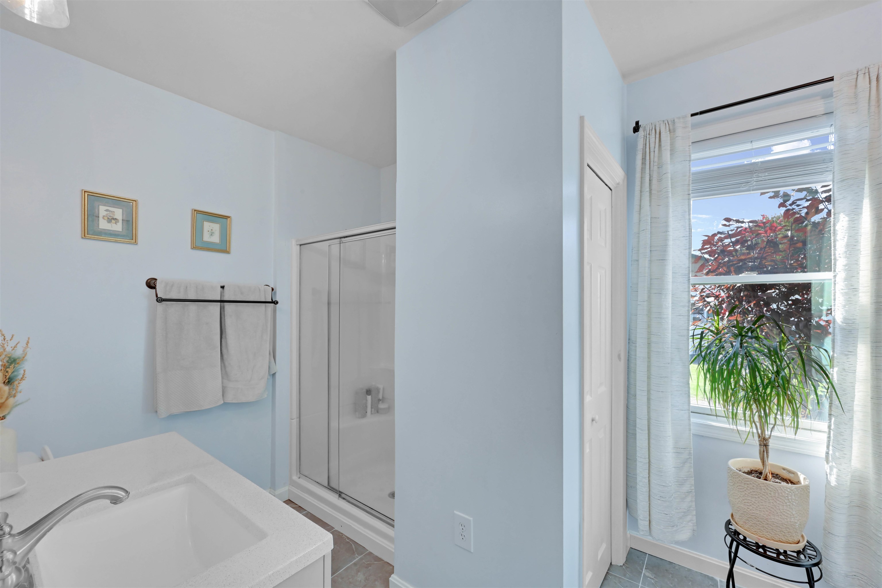 7786 Williston Road Property Photo 21