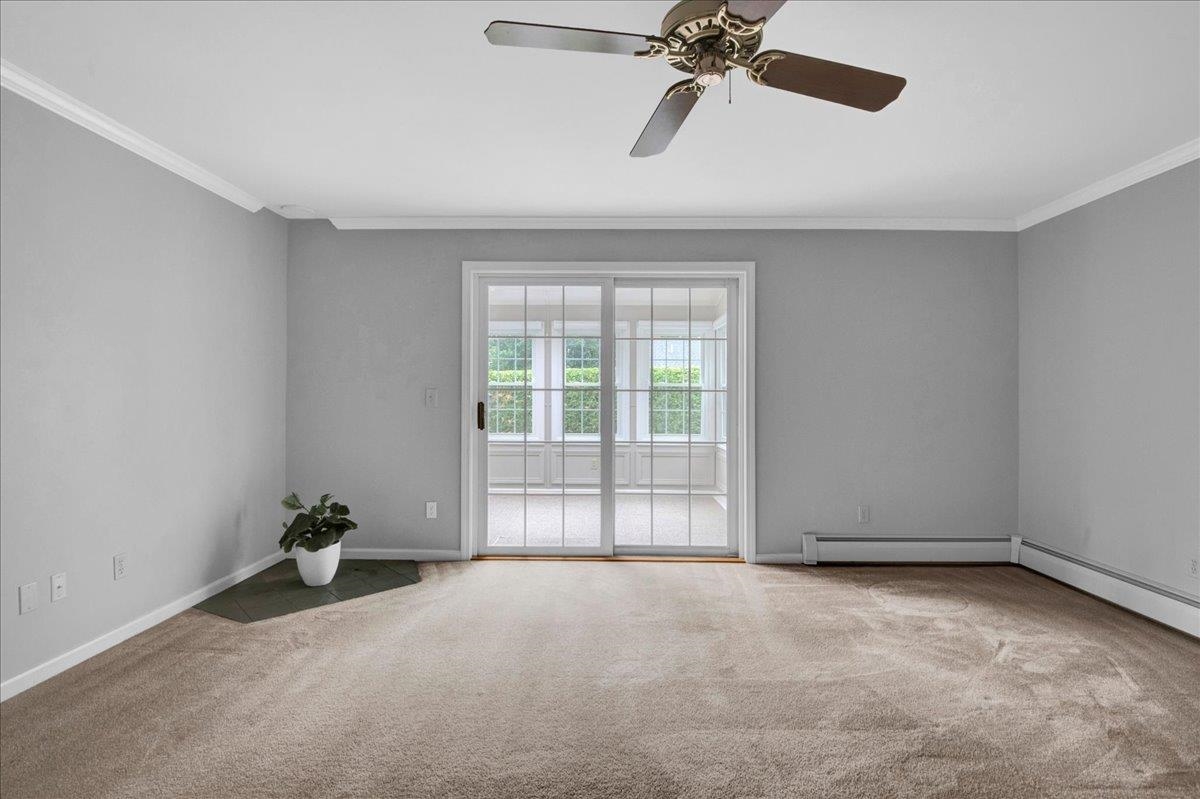 12 Peacham Lane Property Photo 27