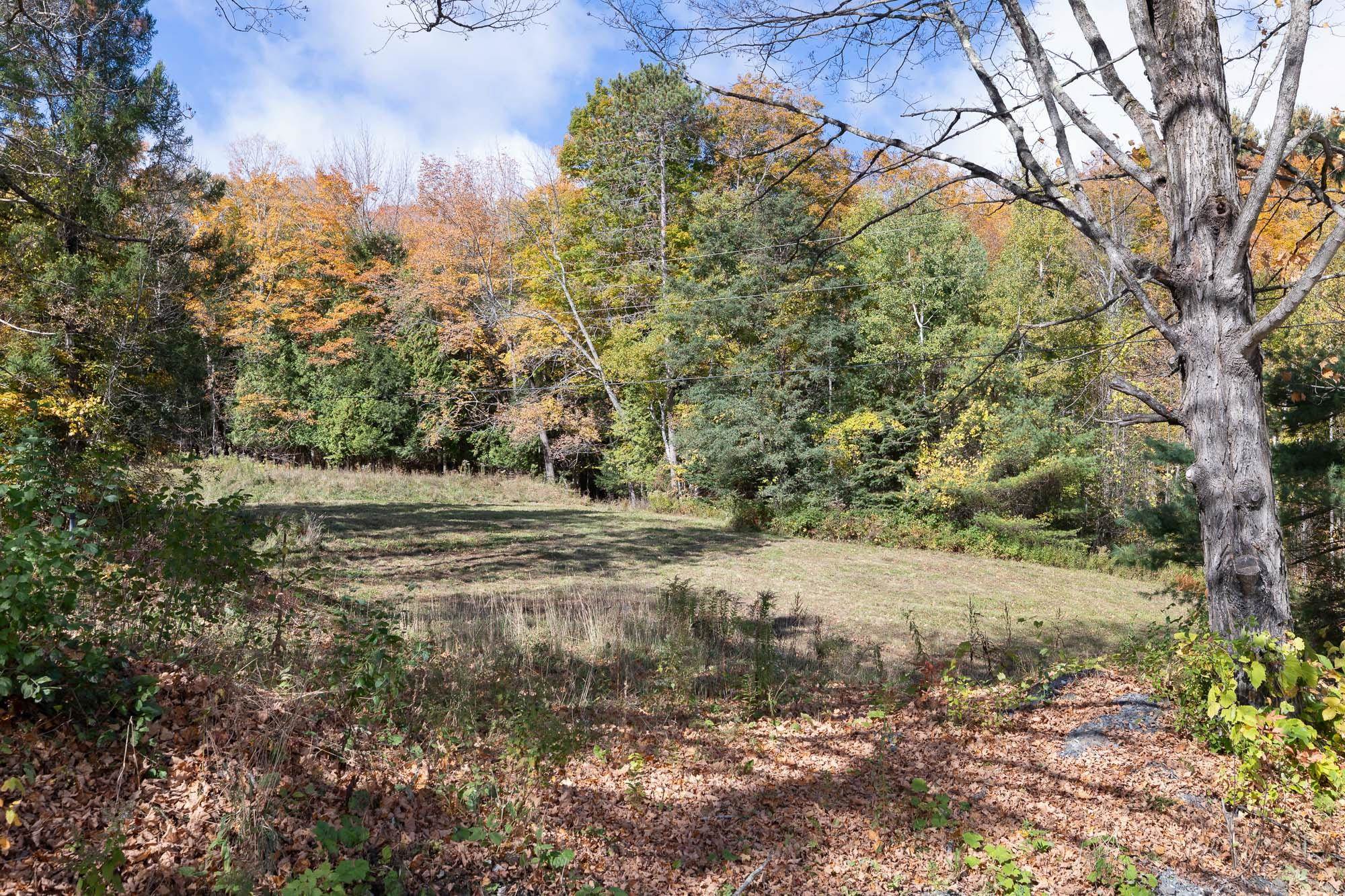 1115 Brookfield Road Property Photo 52