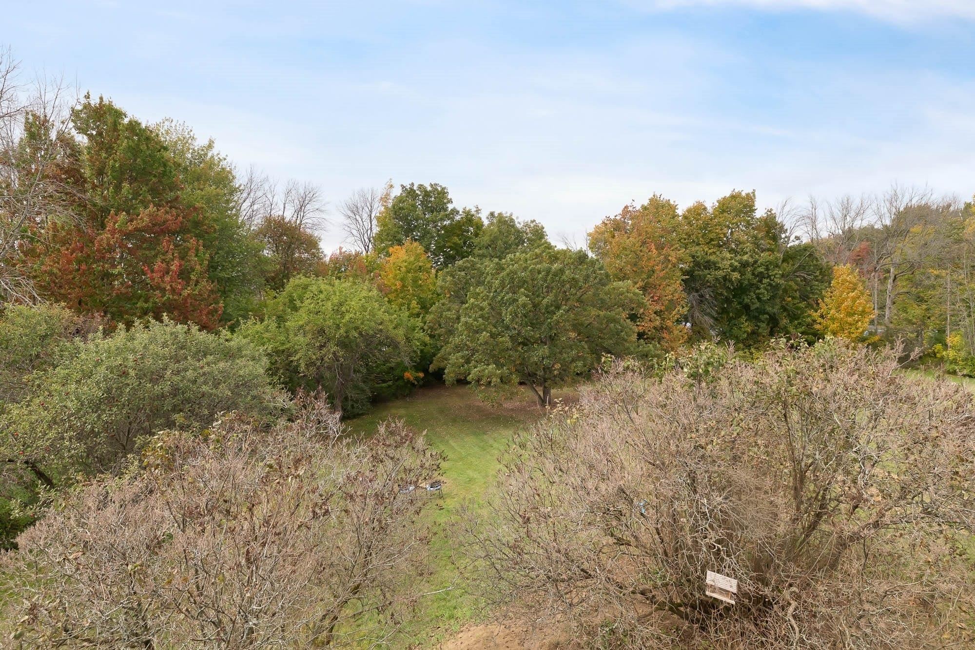 112 Hog Island Road Property Photo 54