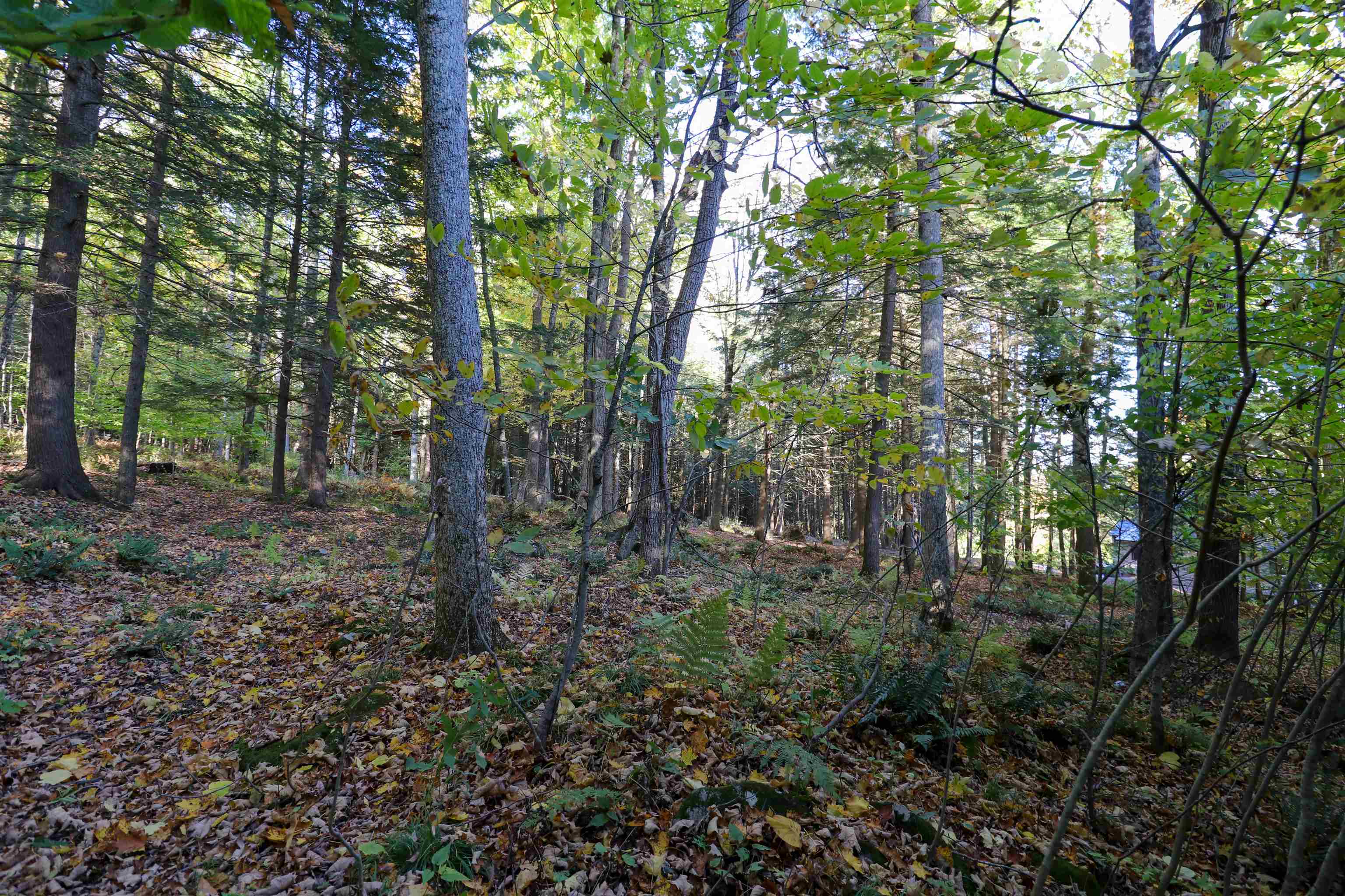 1224 Marsh Family Road Property Photo 44