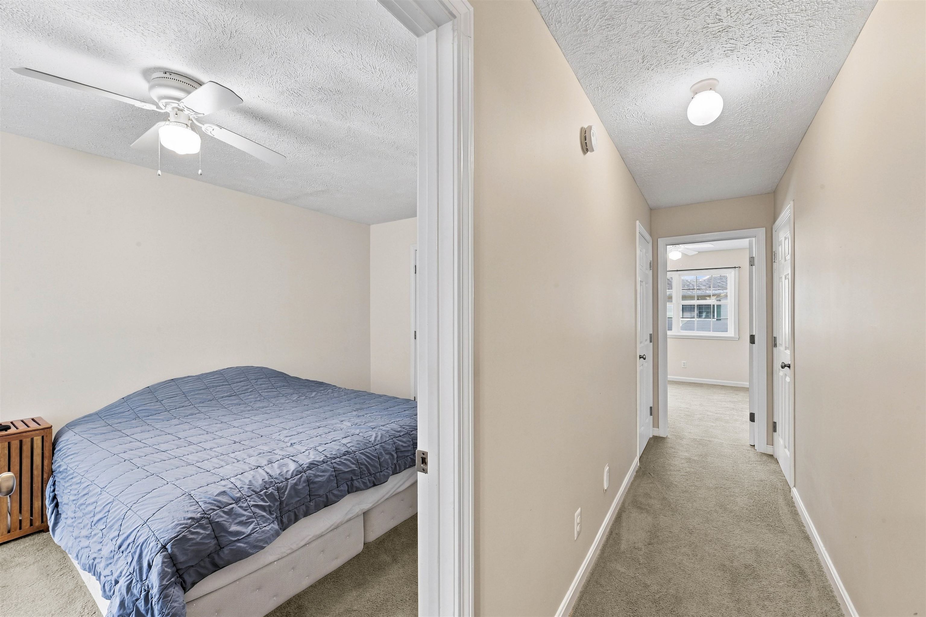 6 Donald Drive Property Photo 14