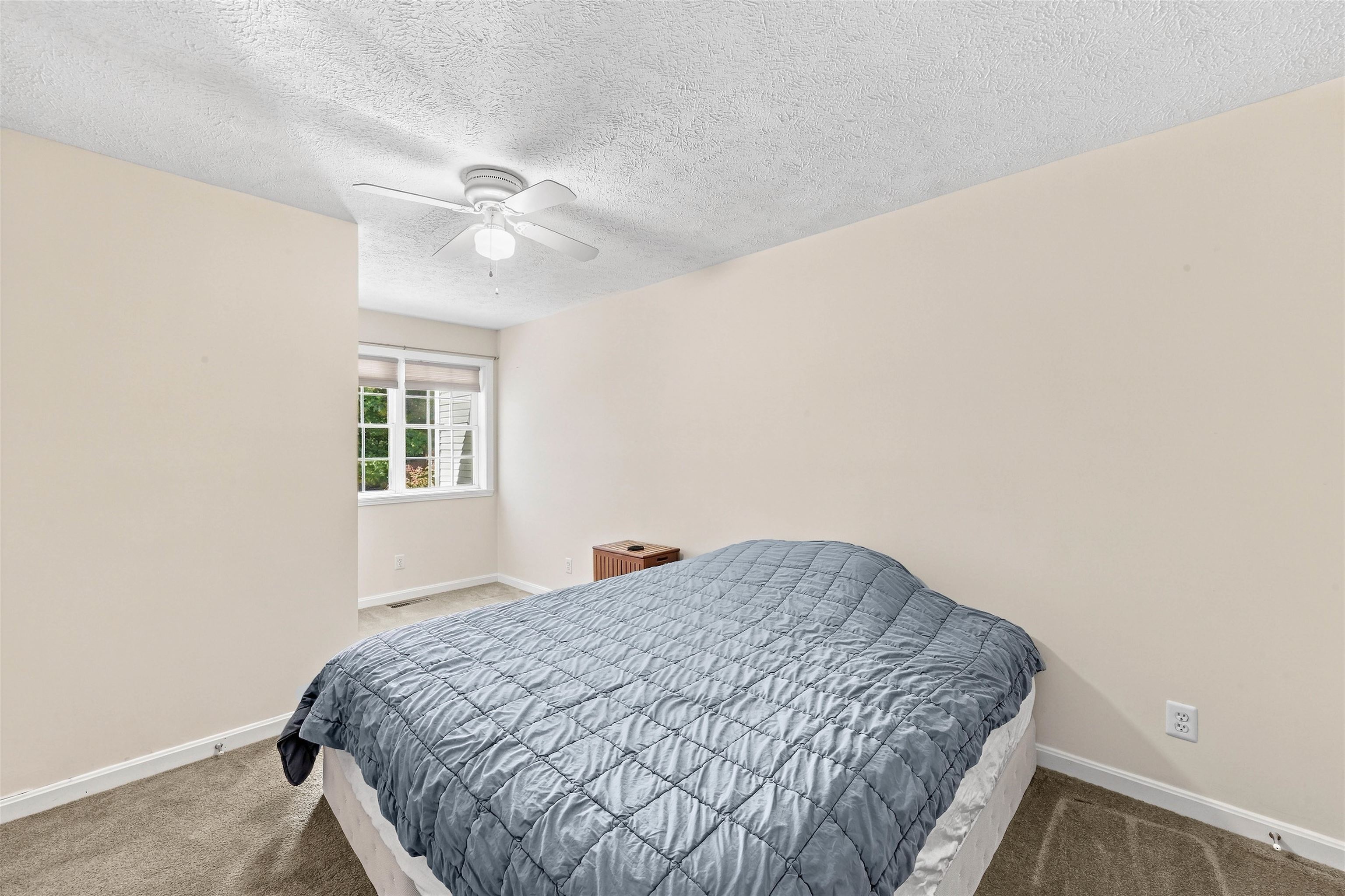 6 Donald Drive Property Photo 15