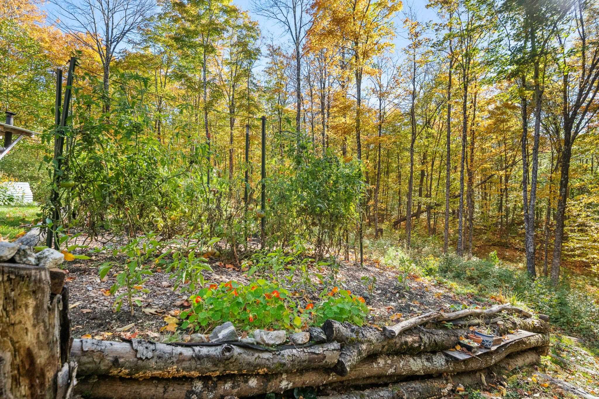 1804 Prickly Mountain Road Property Photo 56