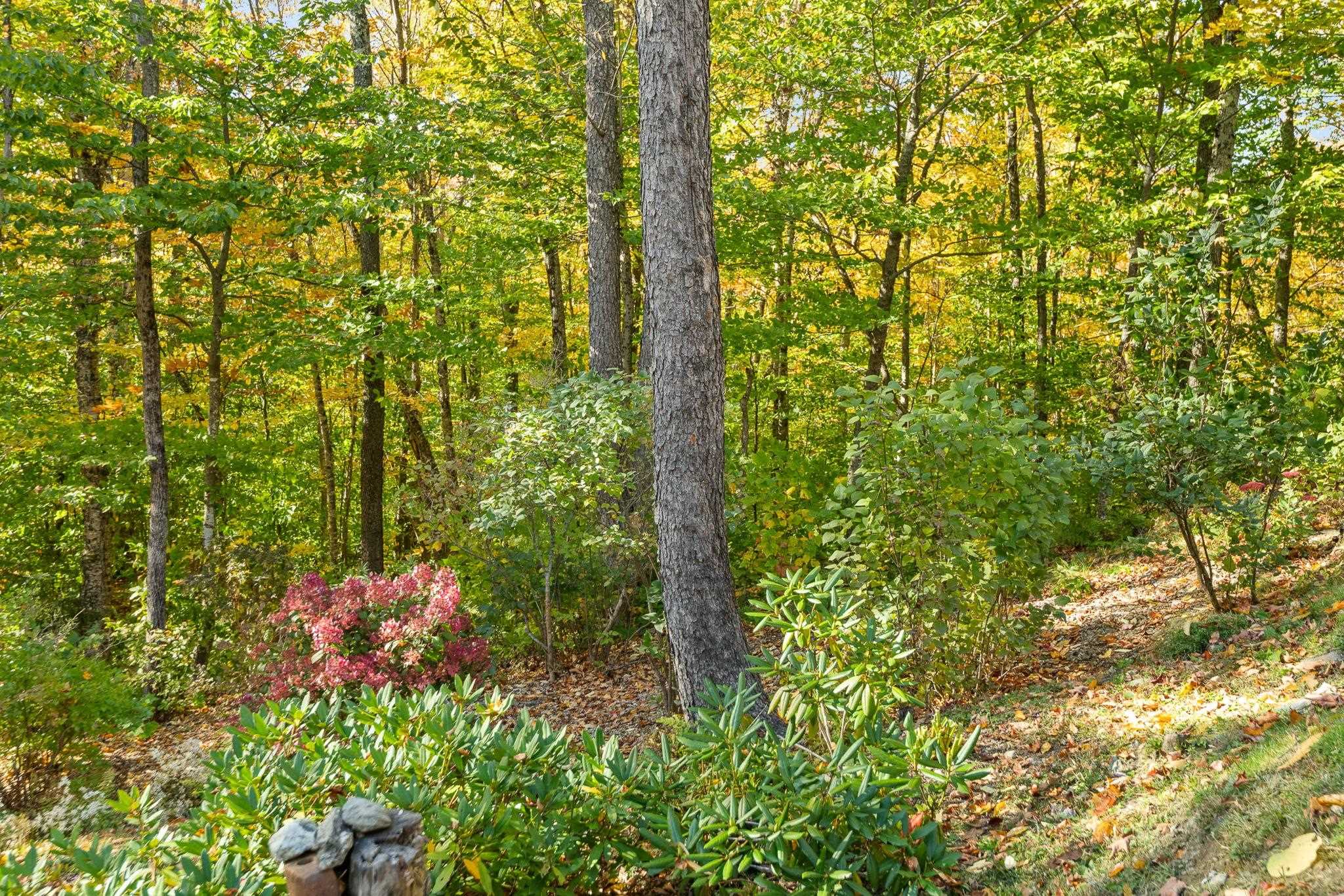 1804 Prickly Mountain Road Property Photo 57