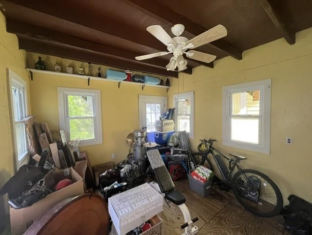 20 Platt Street Property Photo 24
