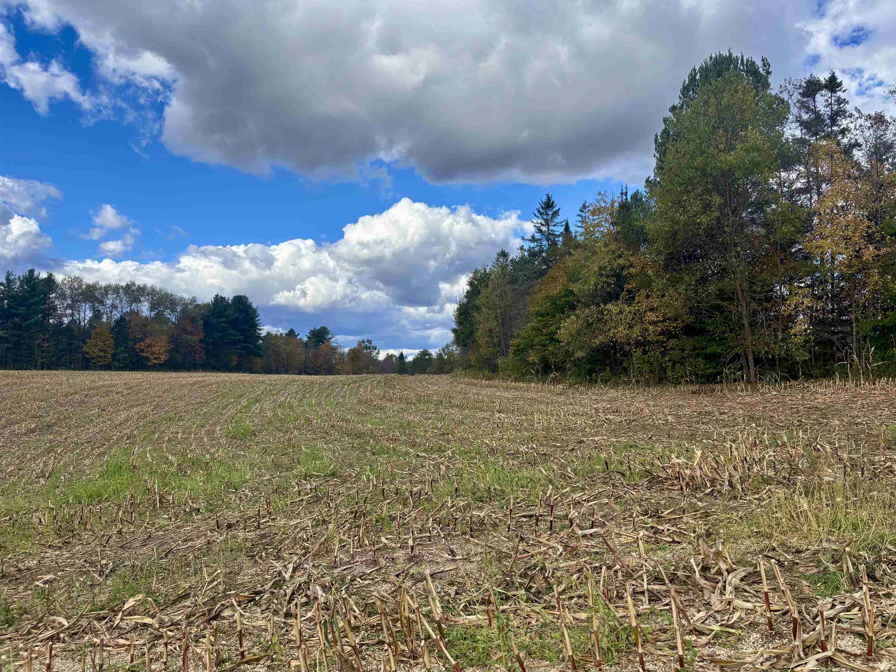 00000 Lily Pond Road Property Photo 1