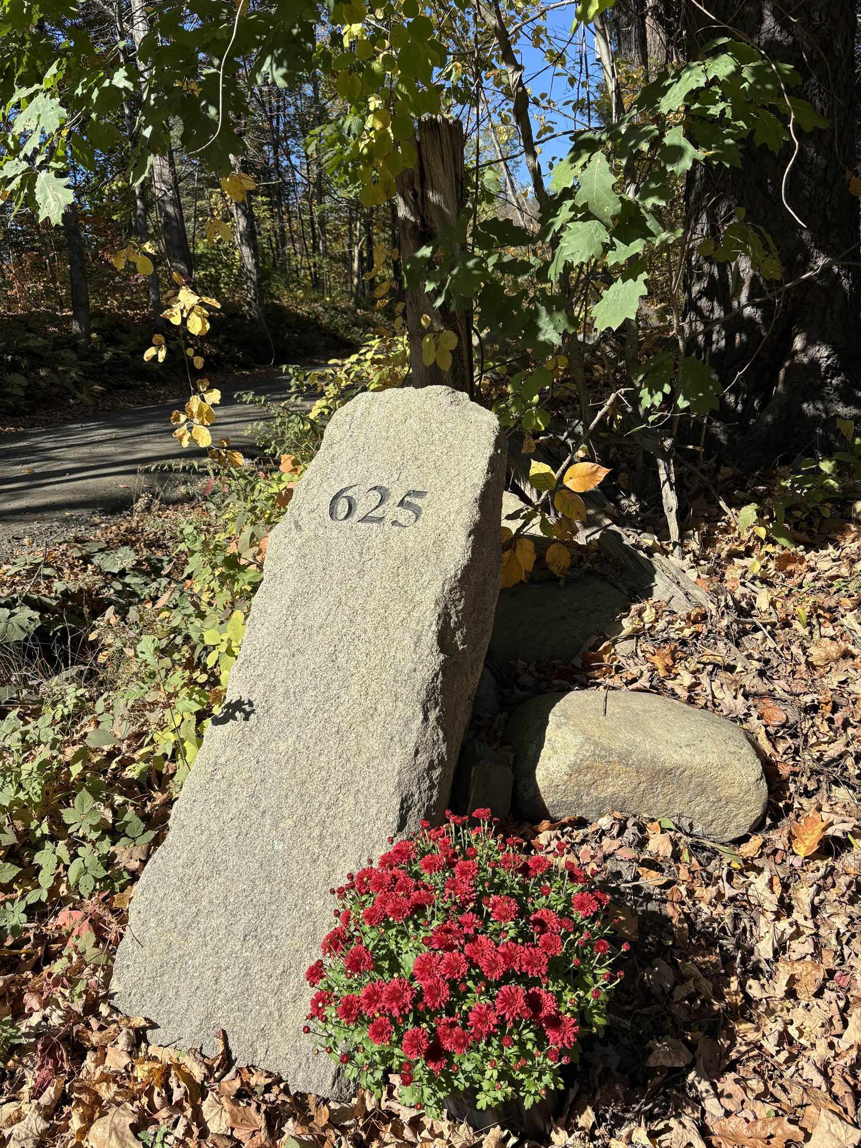 625 Black Mountain Road Property Photo 14