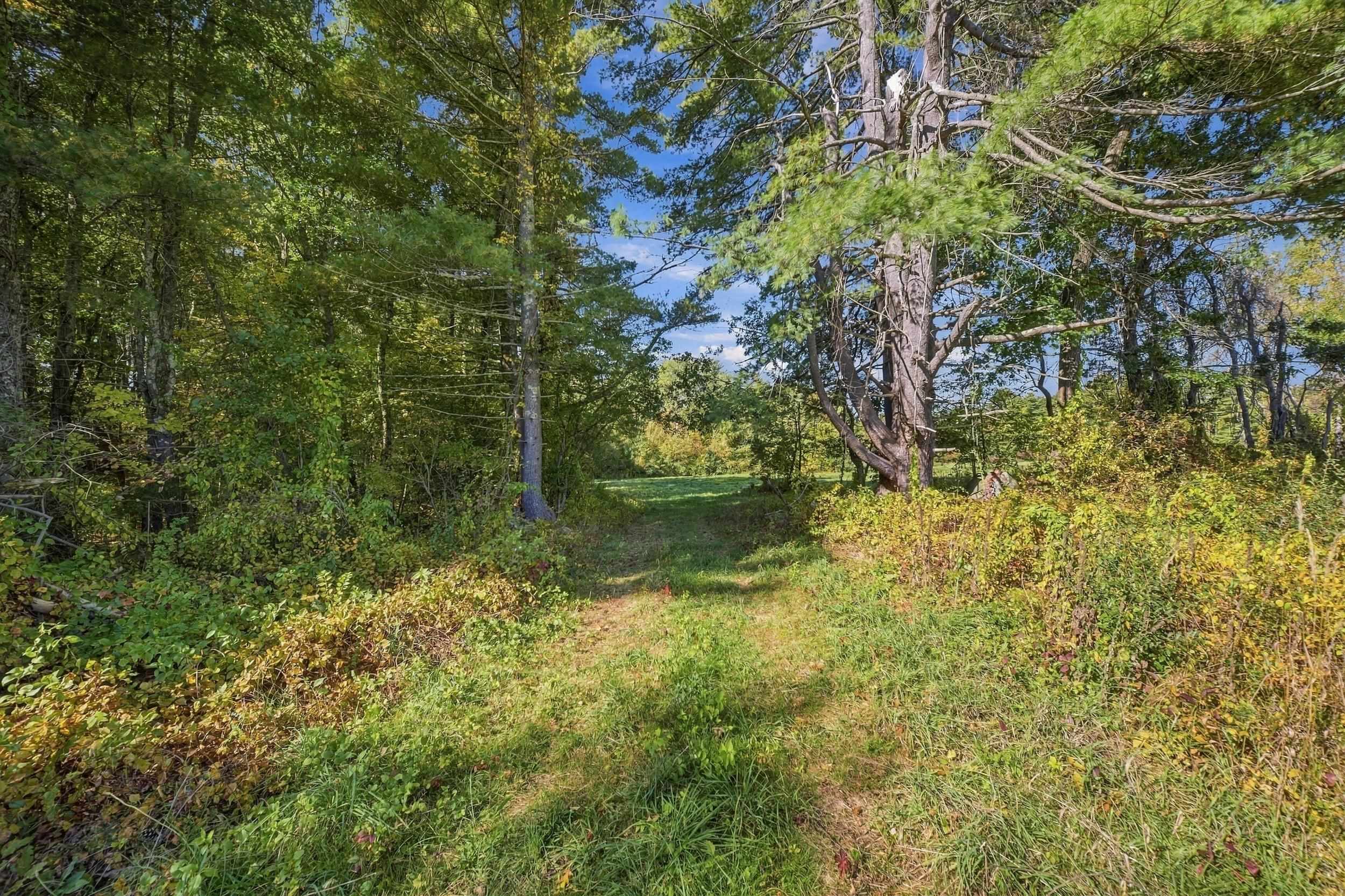 175 Warner Hill Road Property Photo 15