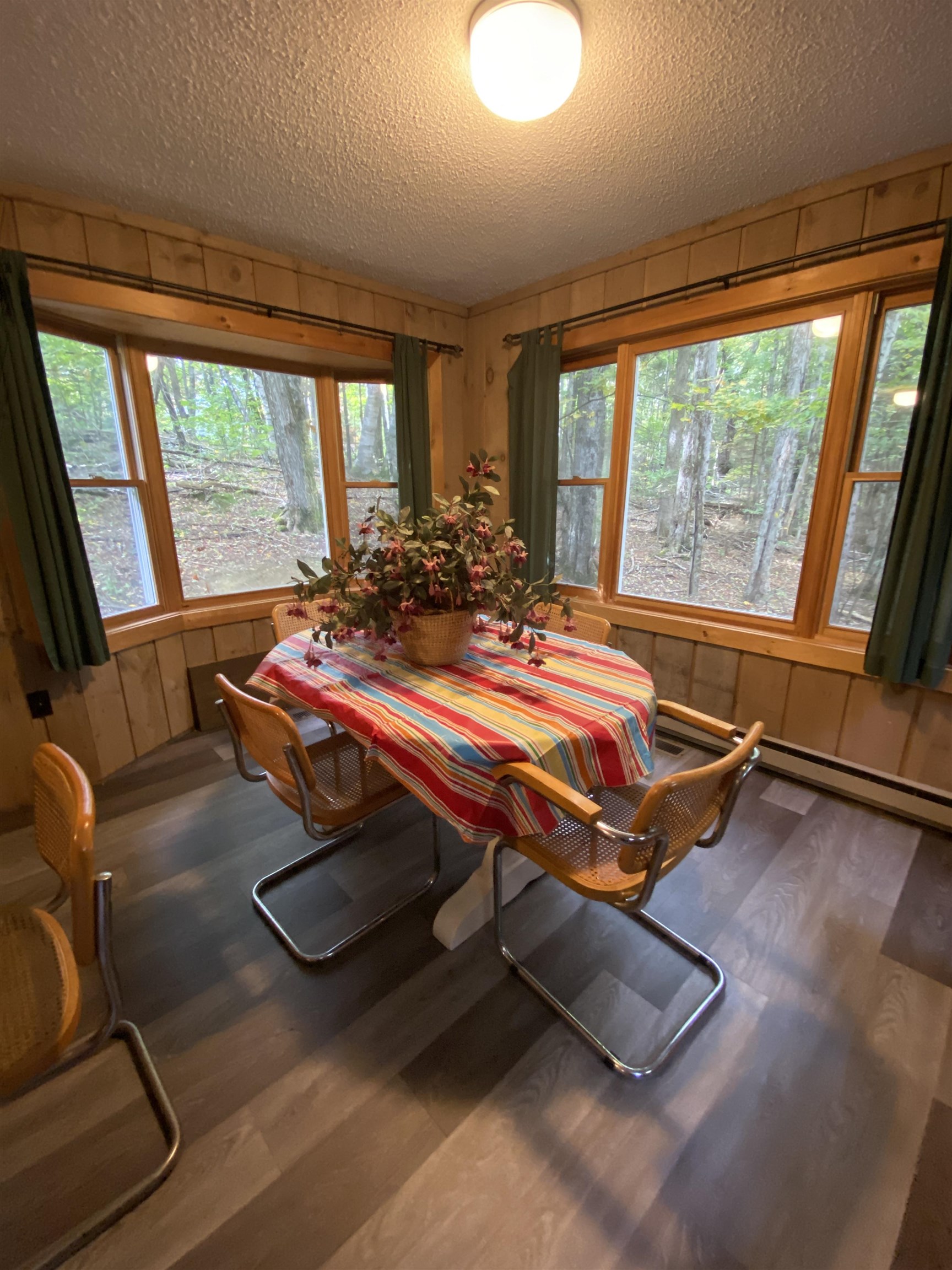 19 View Road Property Photo 6