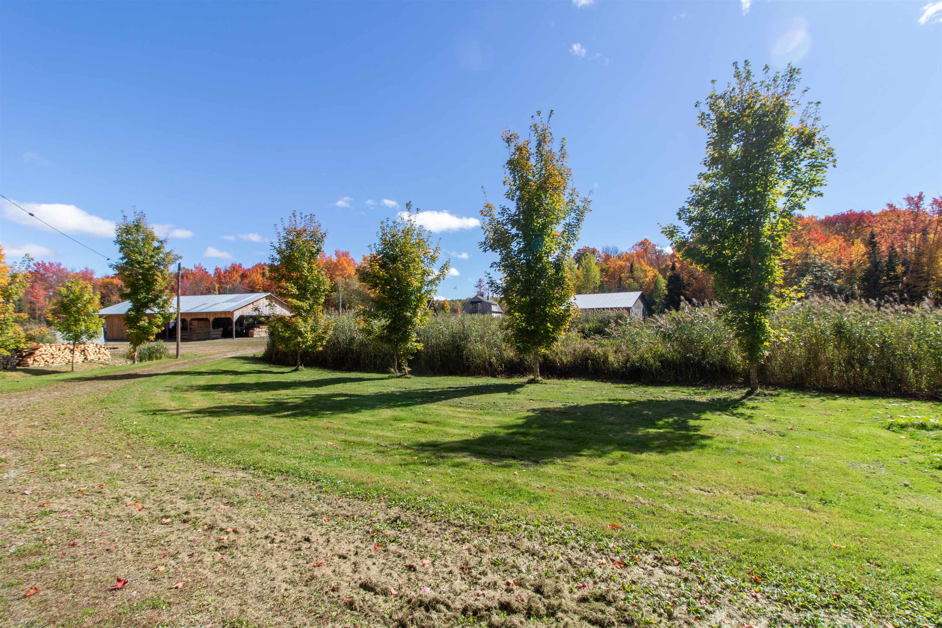 1096 Collins Mill Road Property Photo 54