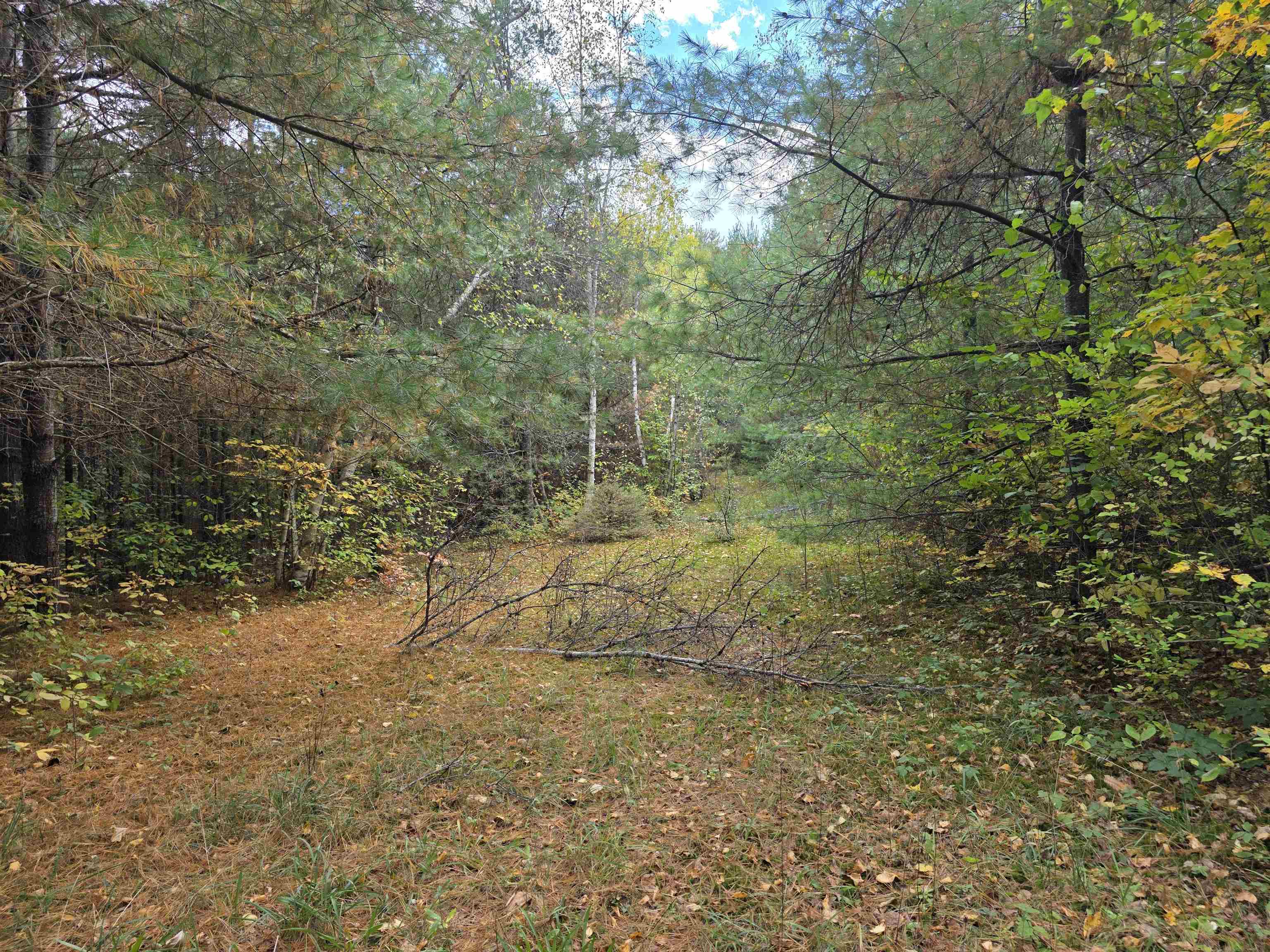 286 Richards Road Property Photo 35