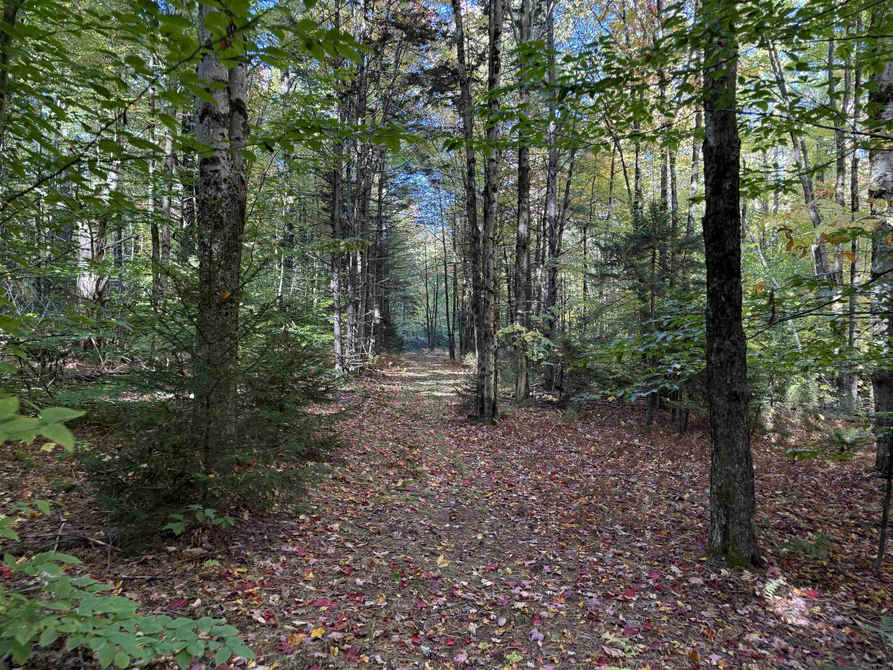 66 Sugar Hill Property Photo 49