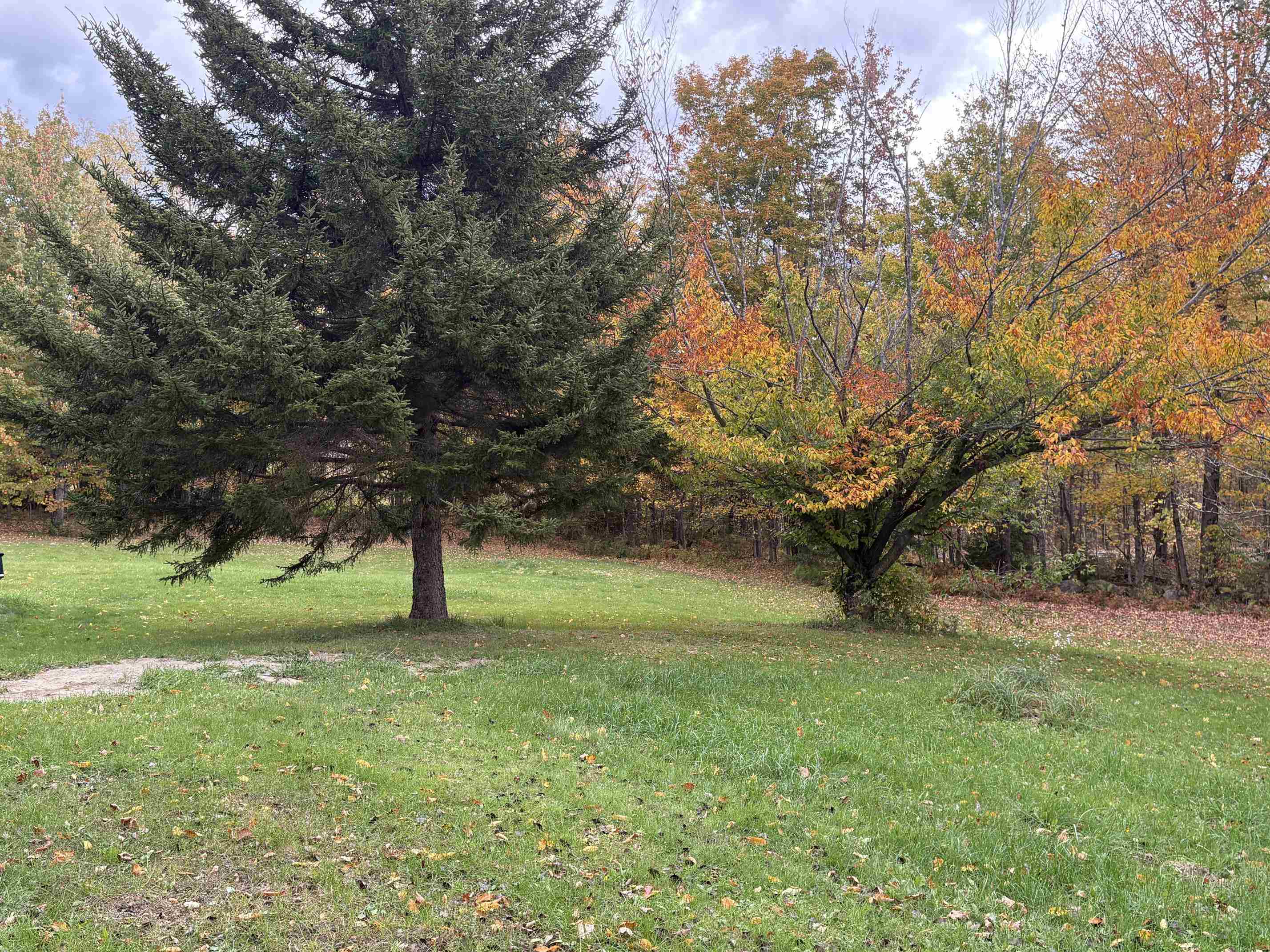 2390 Dart Hill Road Property Photo 7