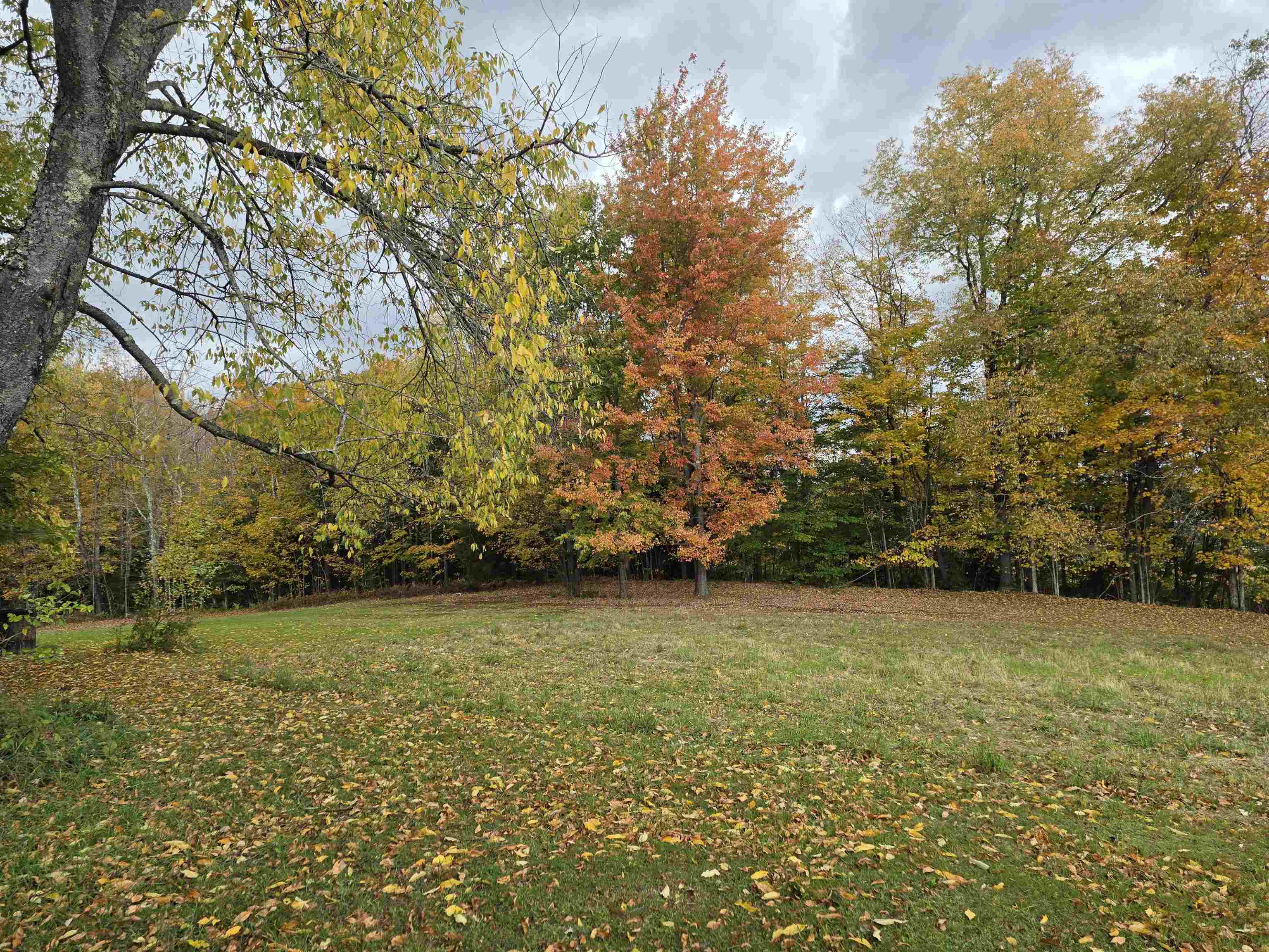 2390 Dart Hill Road Property Photo 36