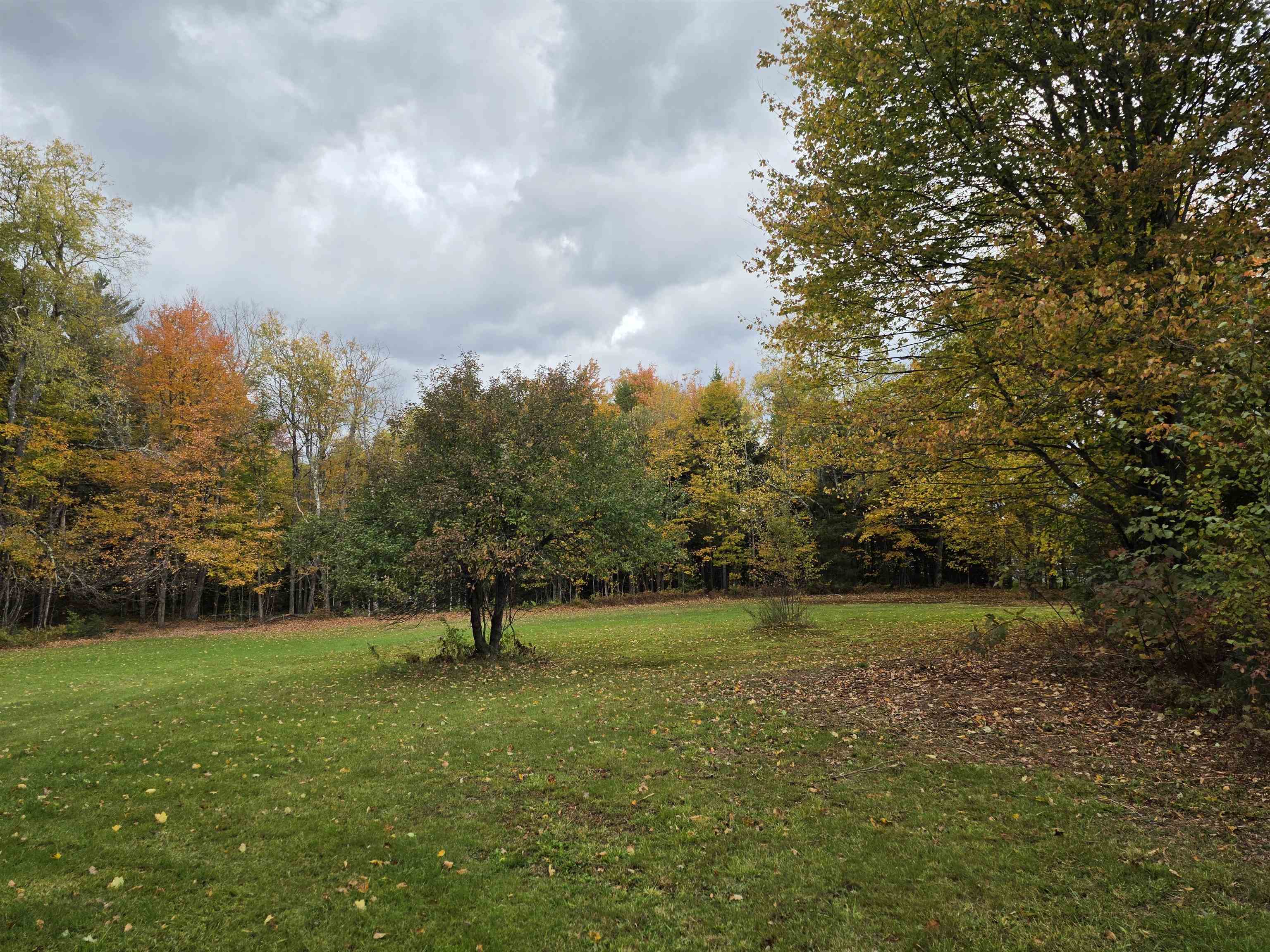 2390 Dart Hill Road Property Photo 37