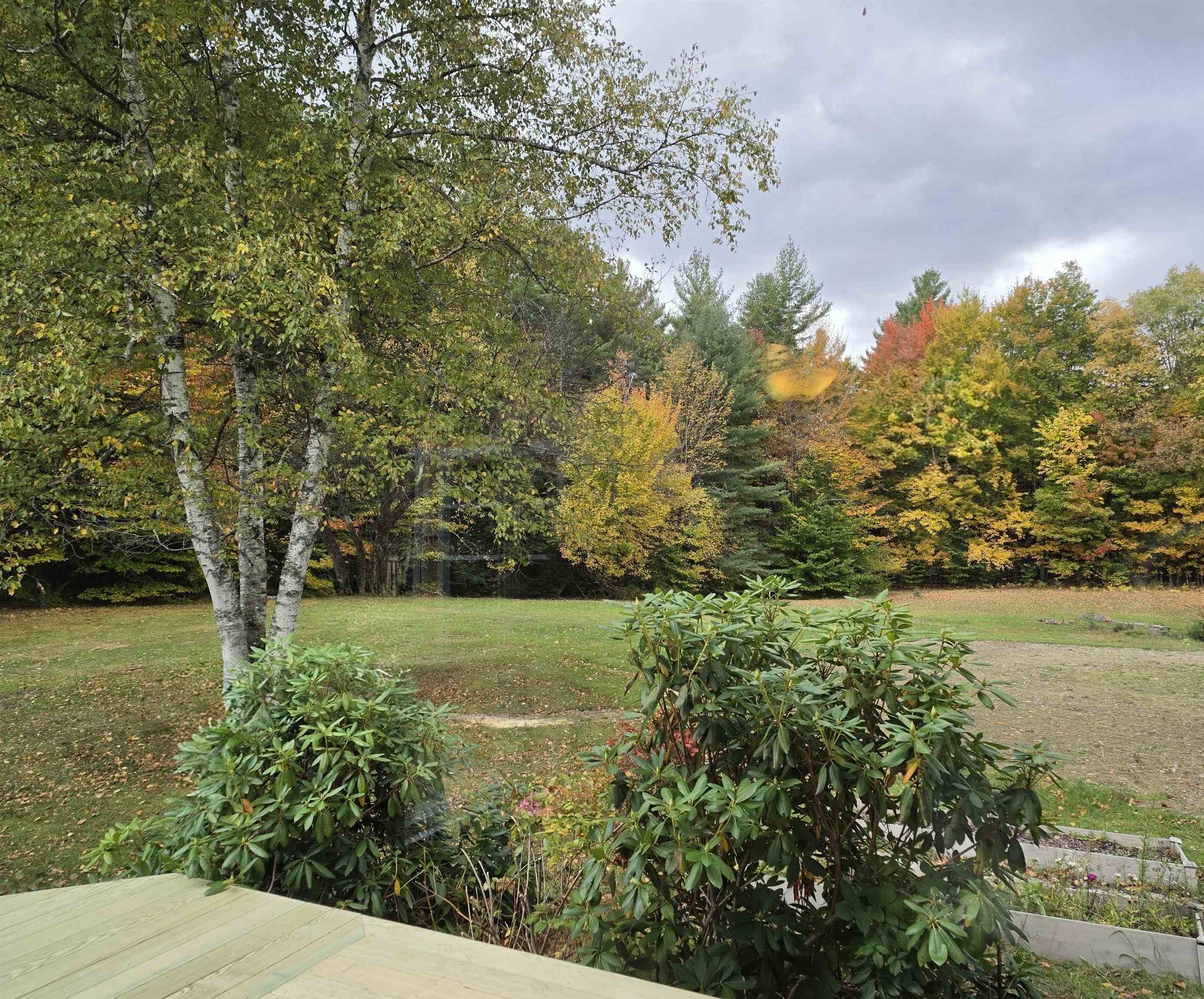 2390 Dart Hill Road Property Photo 44