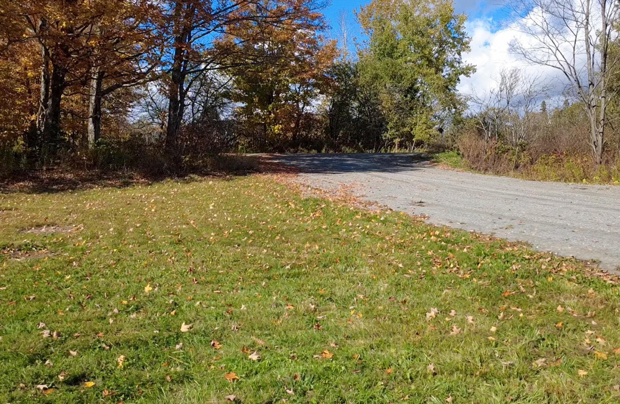 Maple Lane Property Photo 11