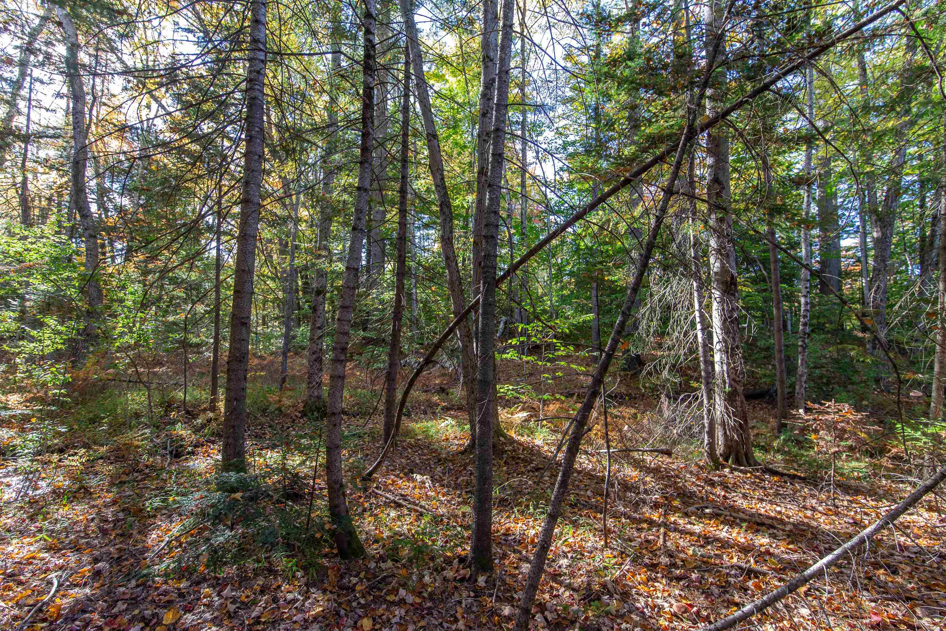Map 401 Lot 3 Chocorua Mountain Highway Property Photo 1