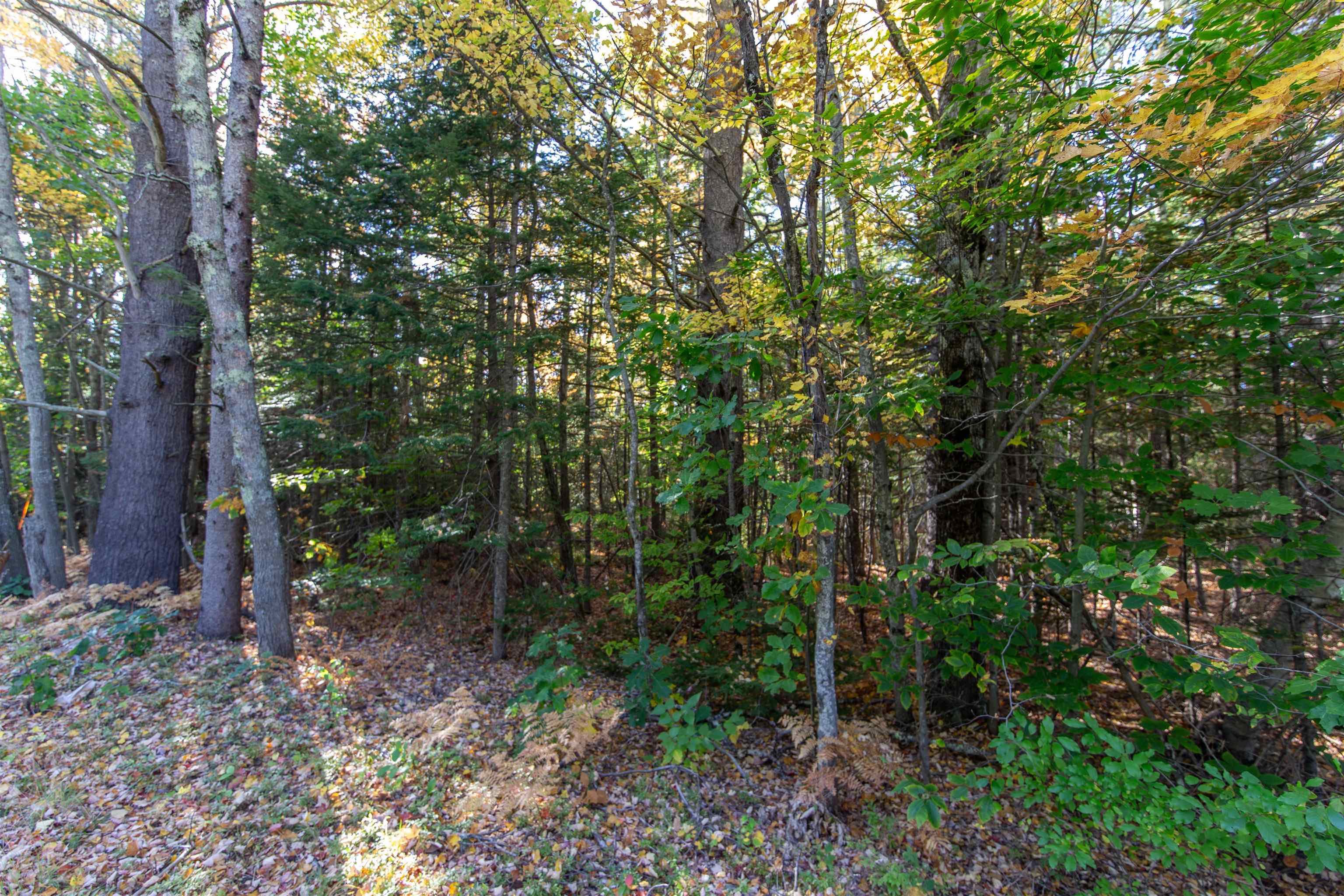 Map 401 Lot 3 Chocorua Mountain Highway Property Photo 2