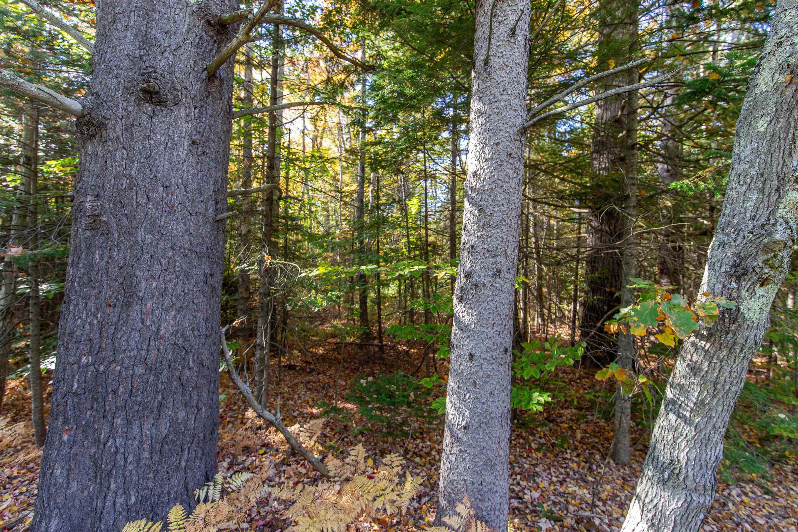 Map 401 Lot 3 Chocorua Mountain Highway Property Photo 3