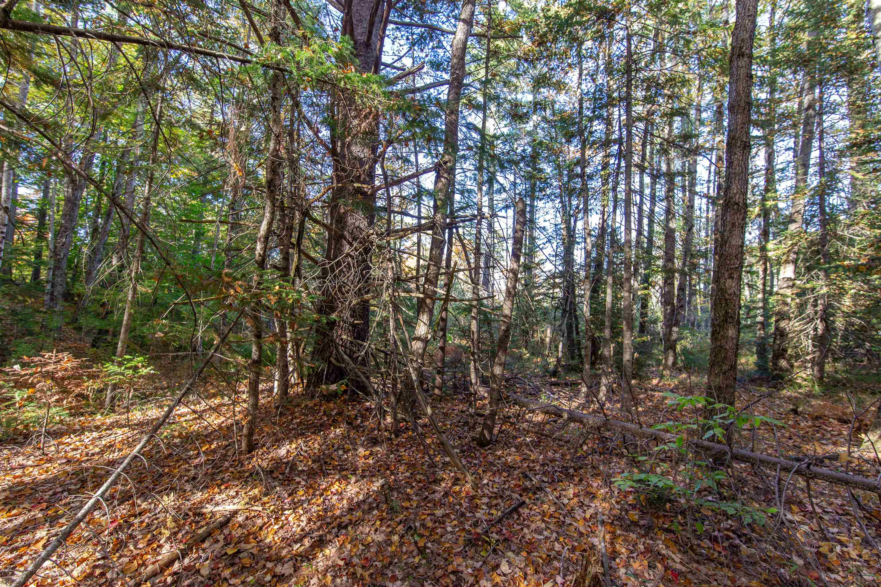 Map 401 Lot 3 Chocorua Mountain Highway Property Photo 4