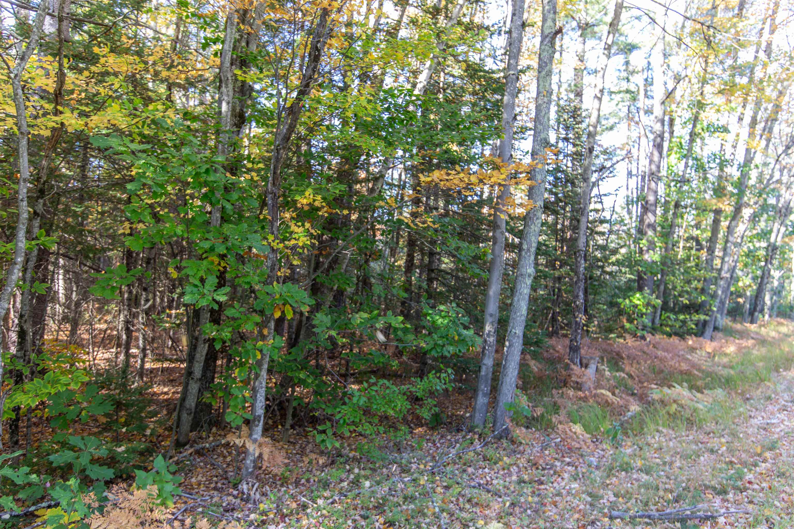 Map 401 Lot 3 Chocorua Mountain Highway Property Photo 5