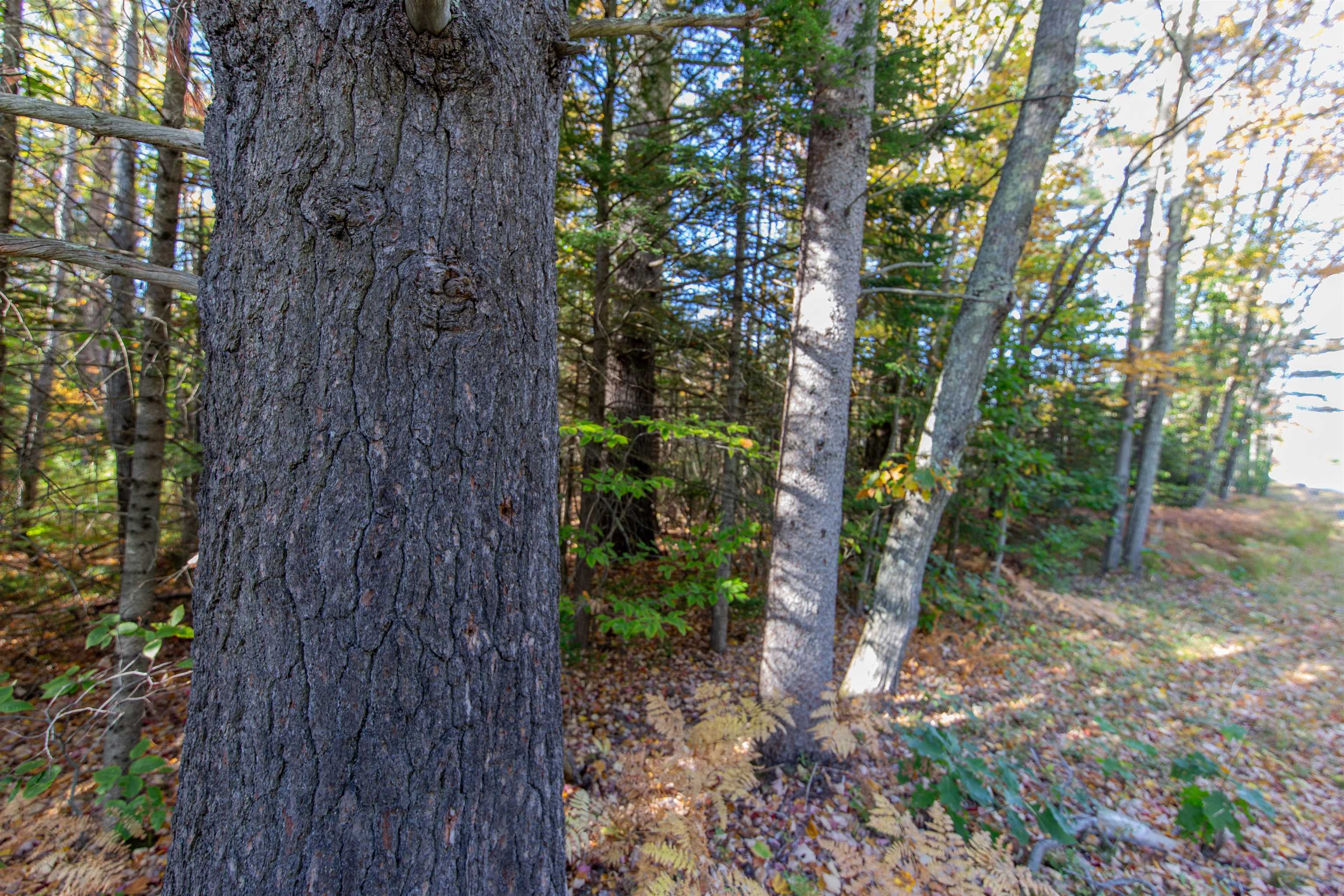 Map 401 Lot 3 Chocorua Mountain Highway Property Photo 8