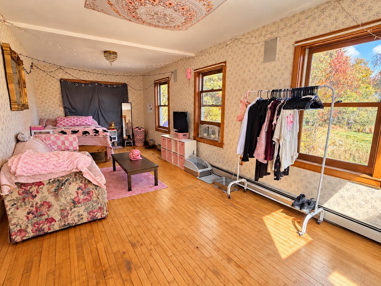 845 Hall Road Property Photo 19