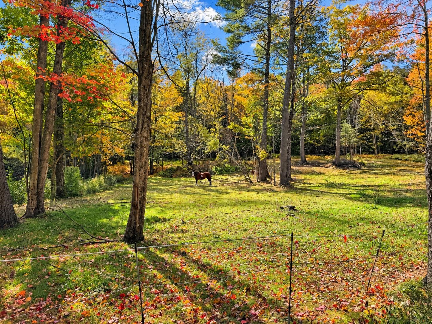 845 Hall Road Property Photo 45