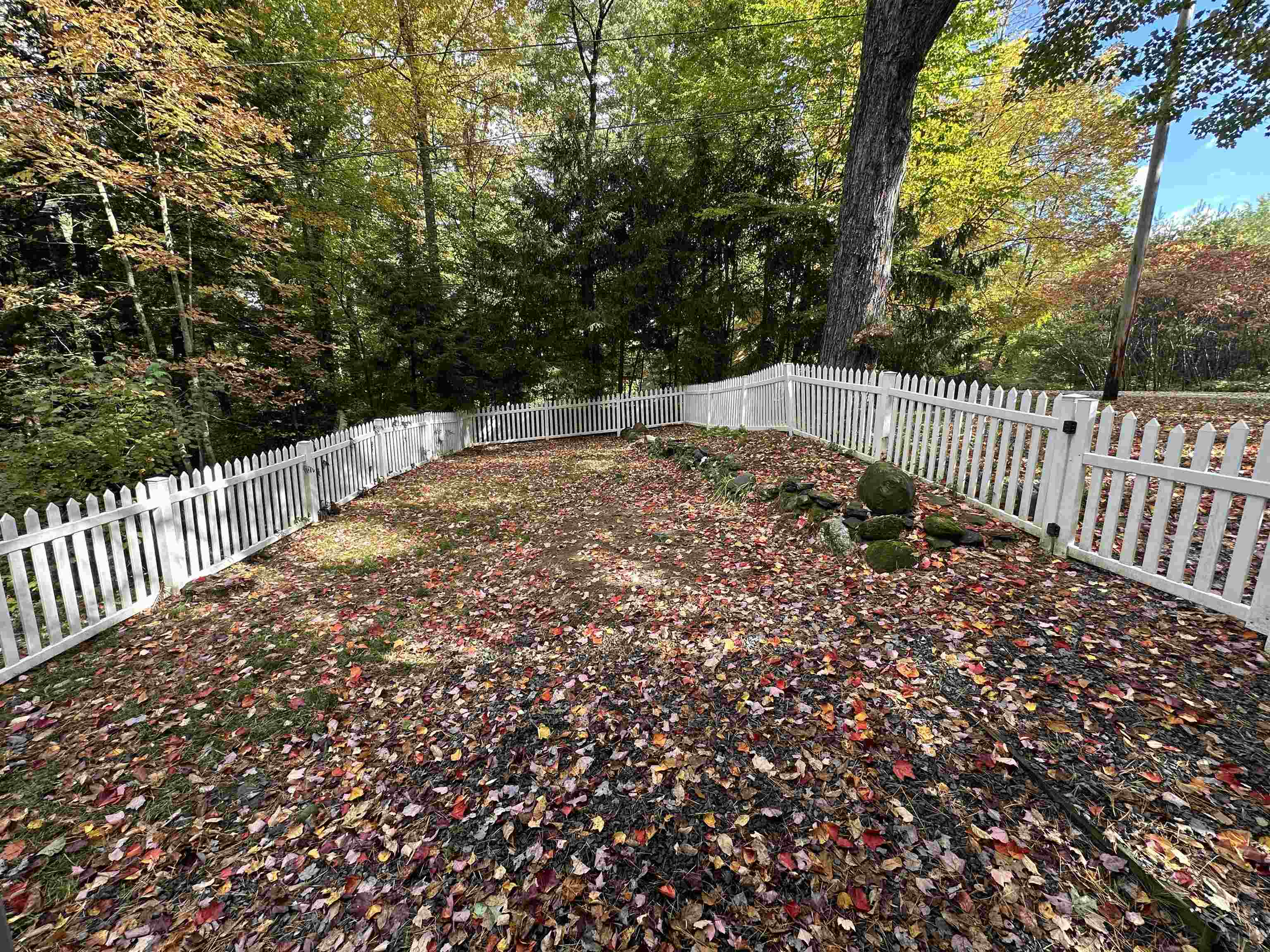 52 Redmond Road Property Photo 13